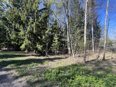 Kohdekuva 5