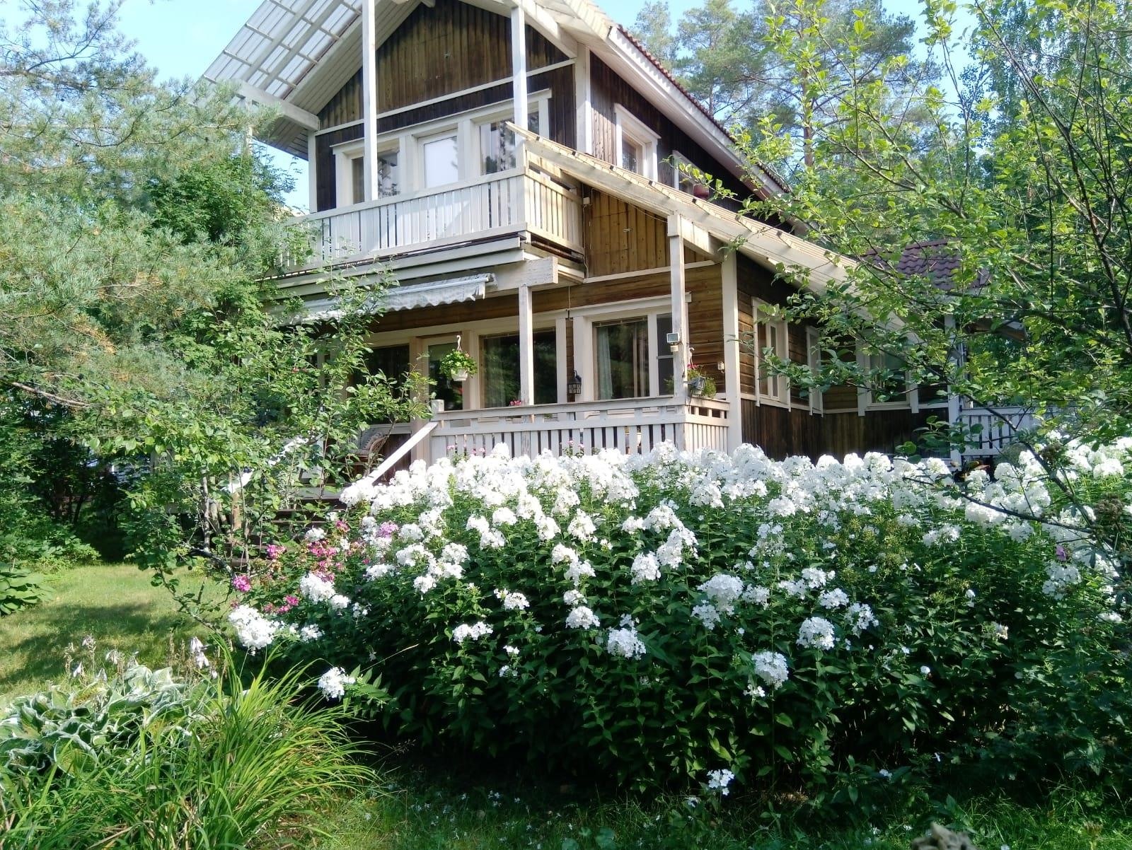 Kohdekuva 25