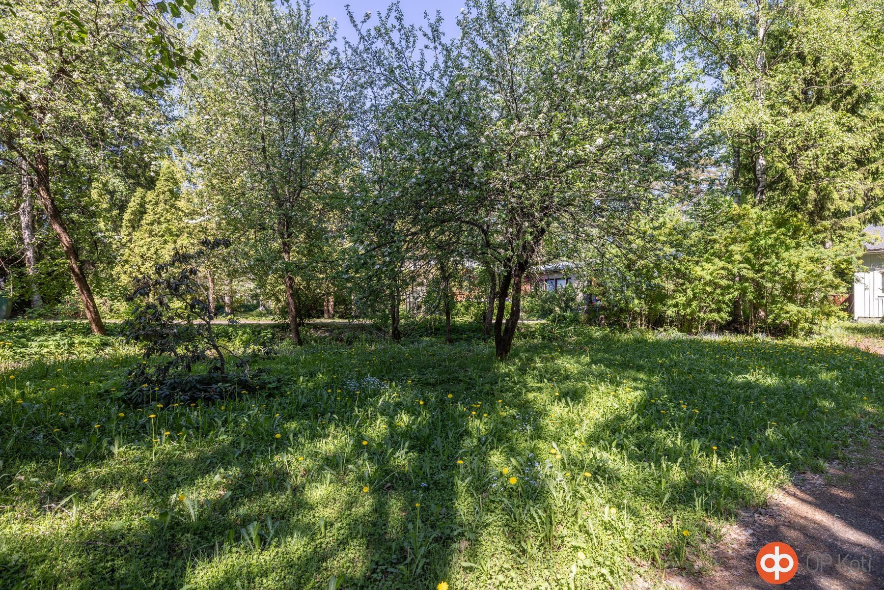 Kohdekuva 14