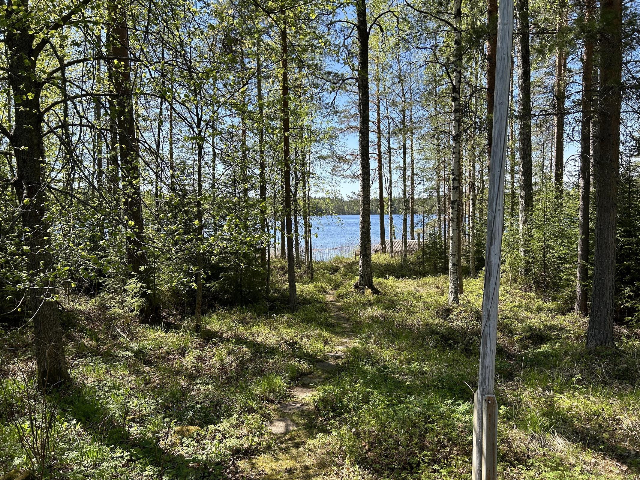 Maisema rantaan päin