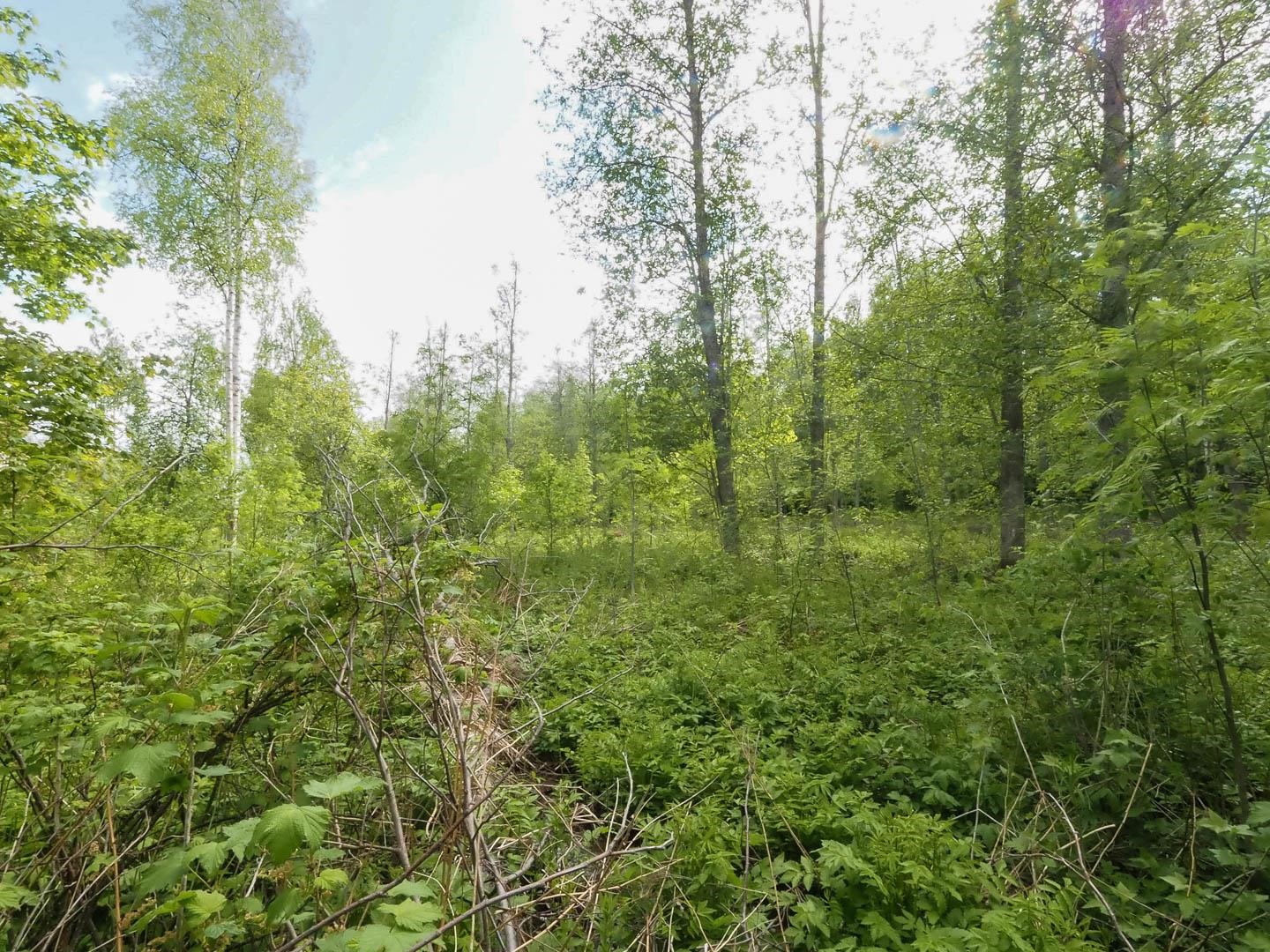 Kohdekuva 2