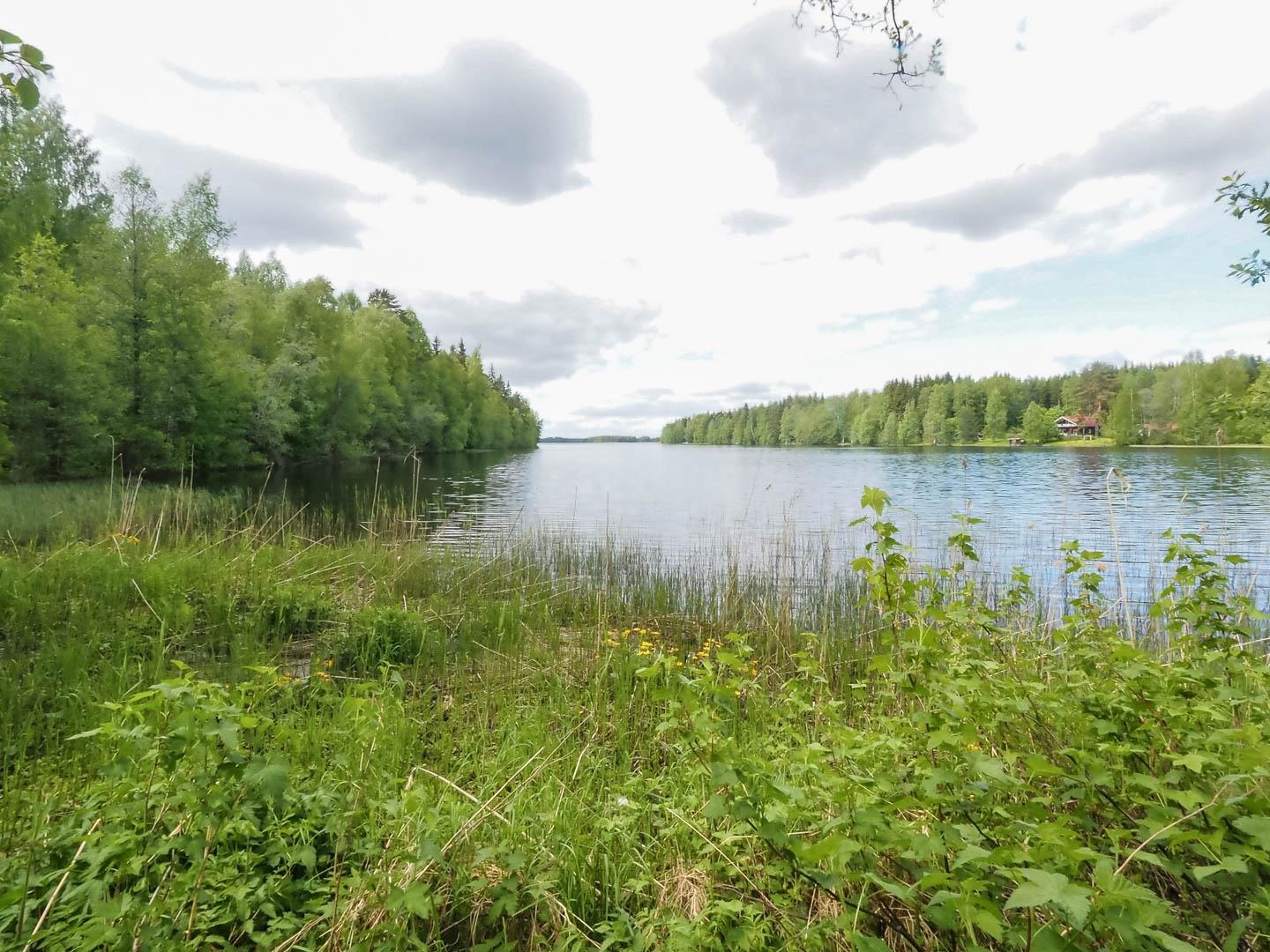 Kohdekuva 1