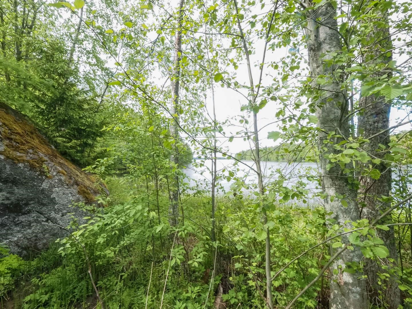 Kohdekuva 12
