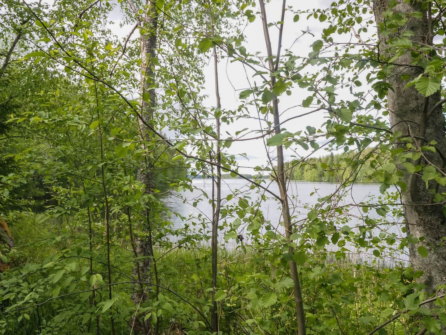 Kohdekuva 4