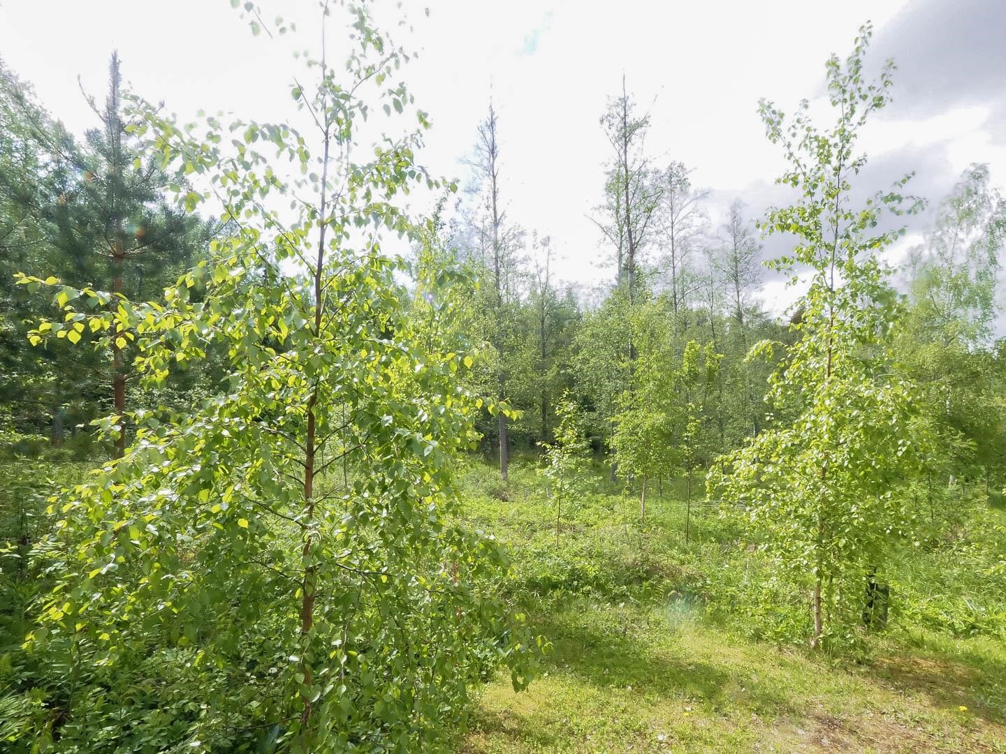 Kohdekuva 7