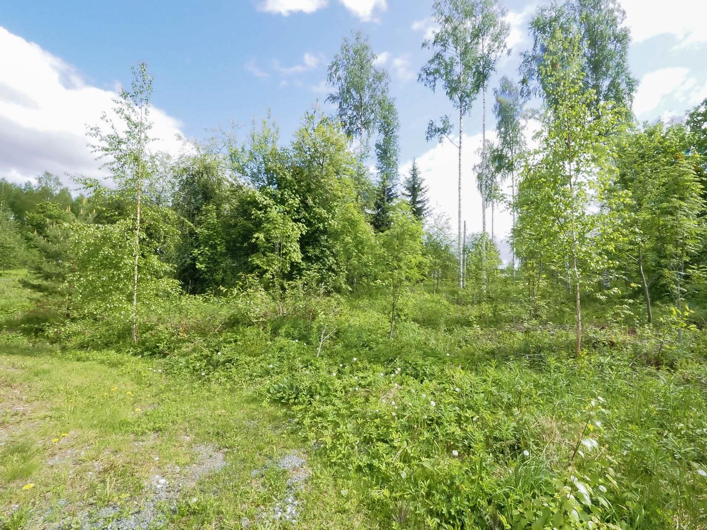 Kohdekuva 6