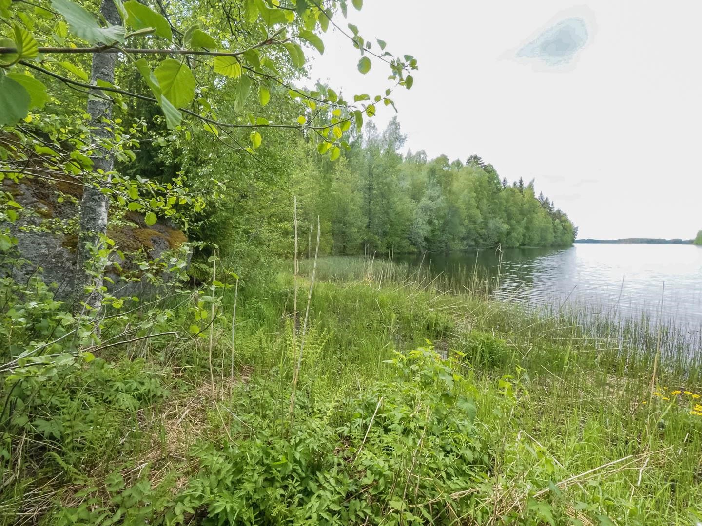 Kohdekuva 11