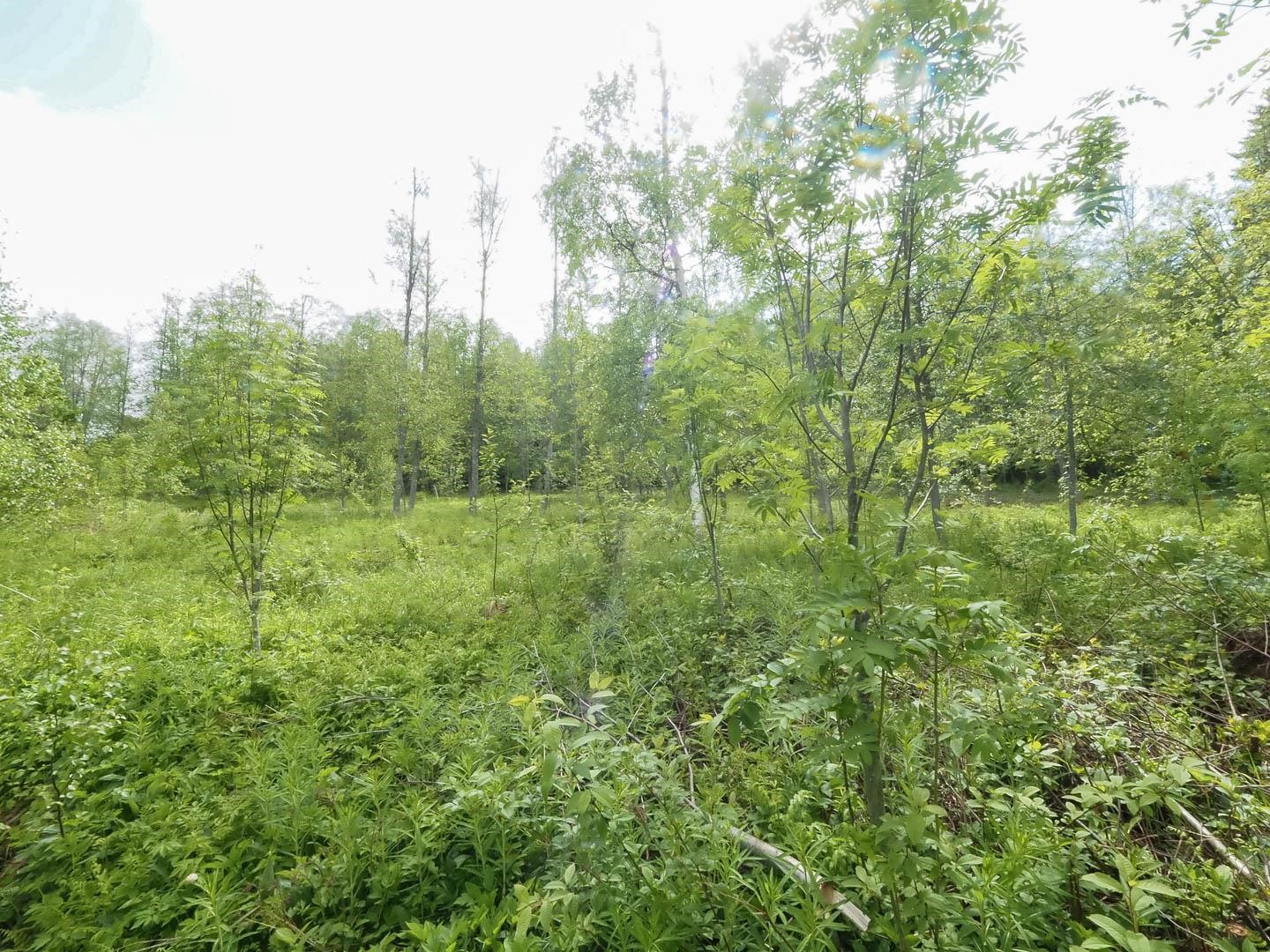 Kohdekuva 9