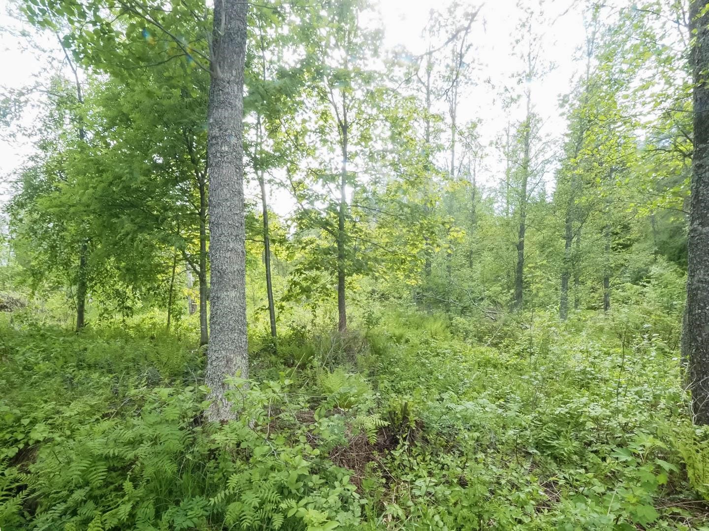 Kohdekuva 10