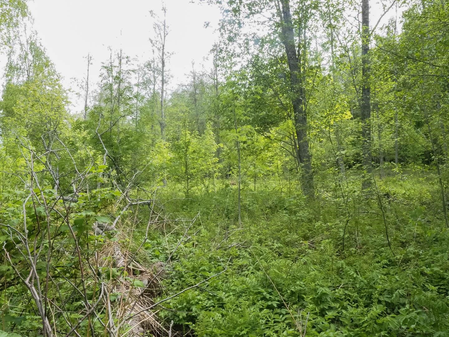 Kohdekuva 3