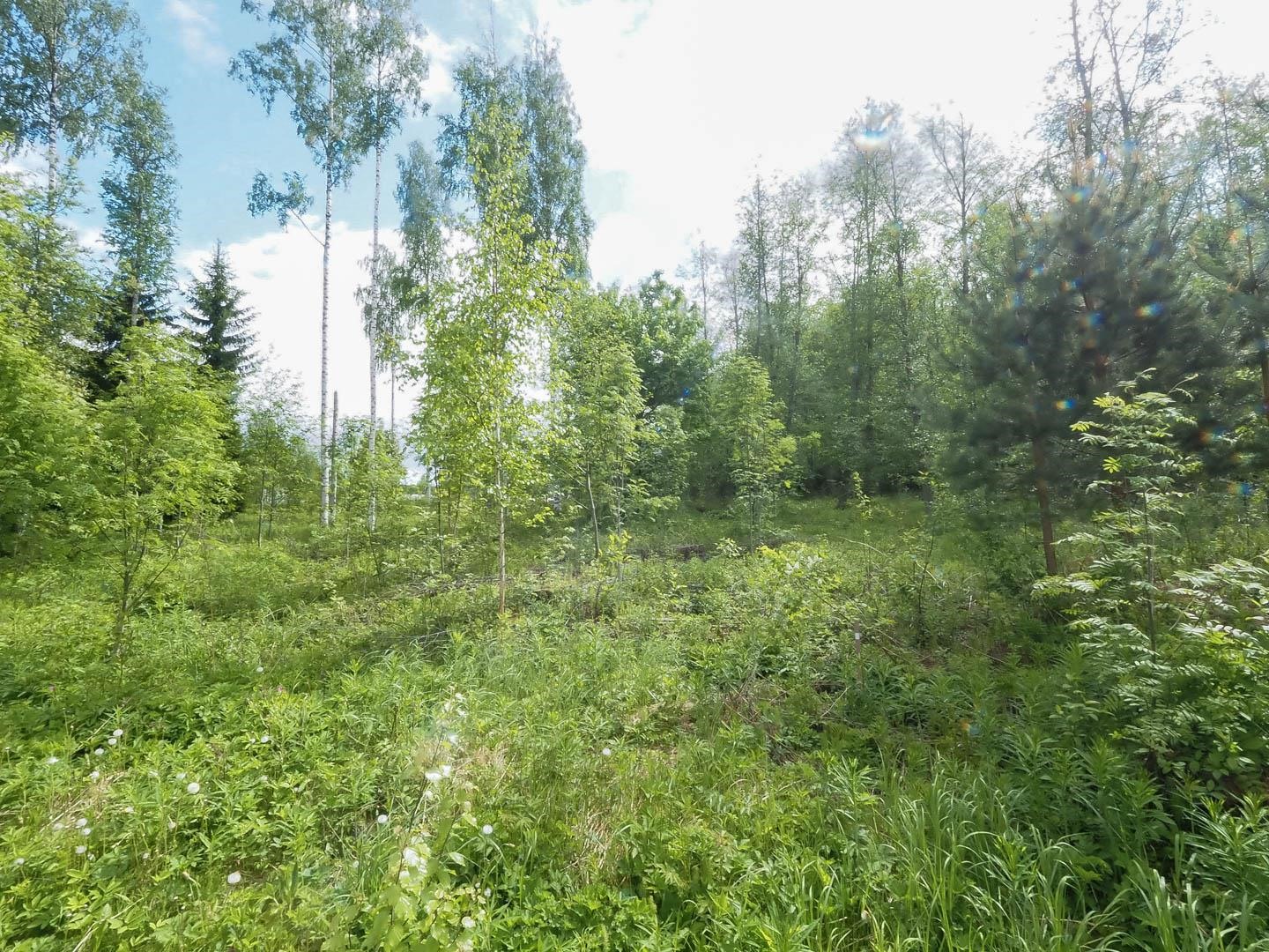 Kohdekuva 8