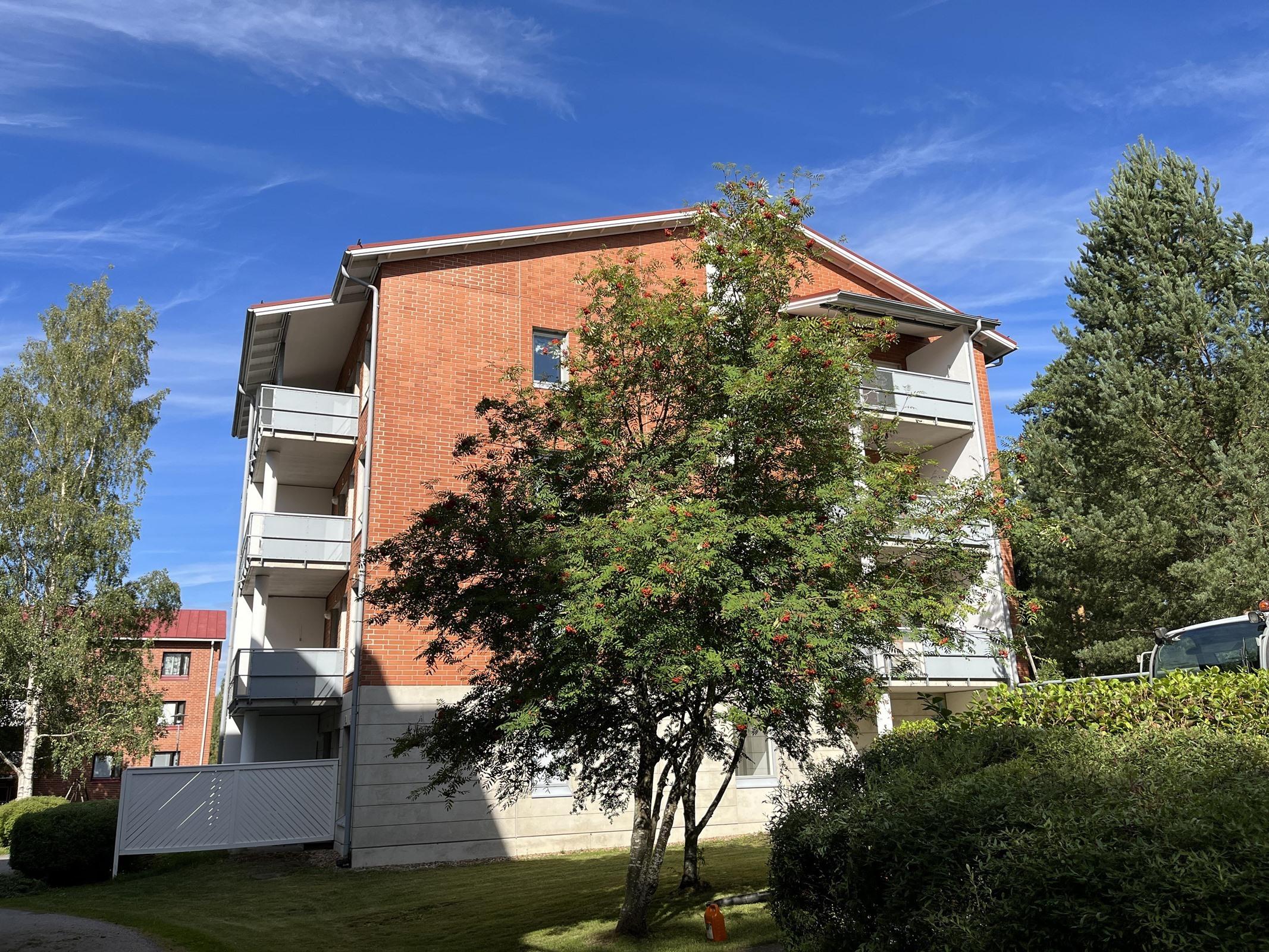Kohdekuva 16