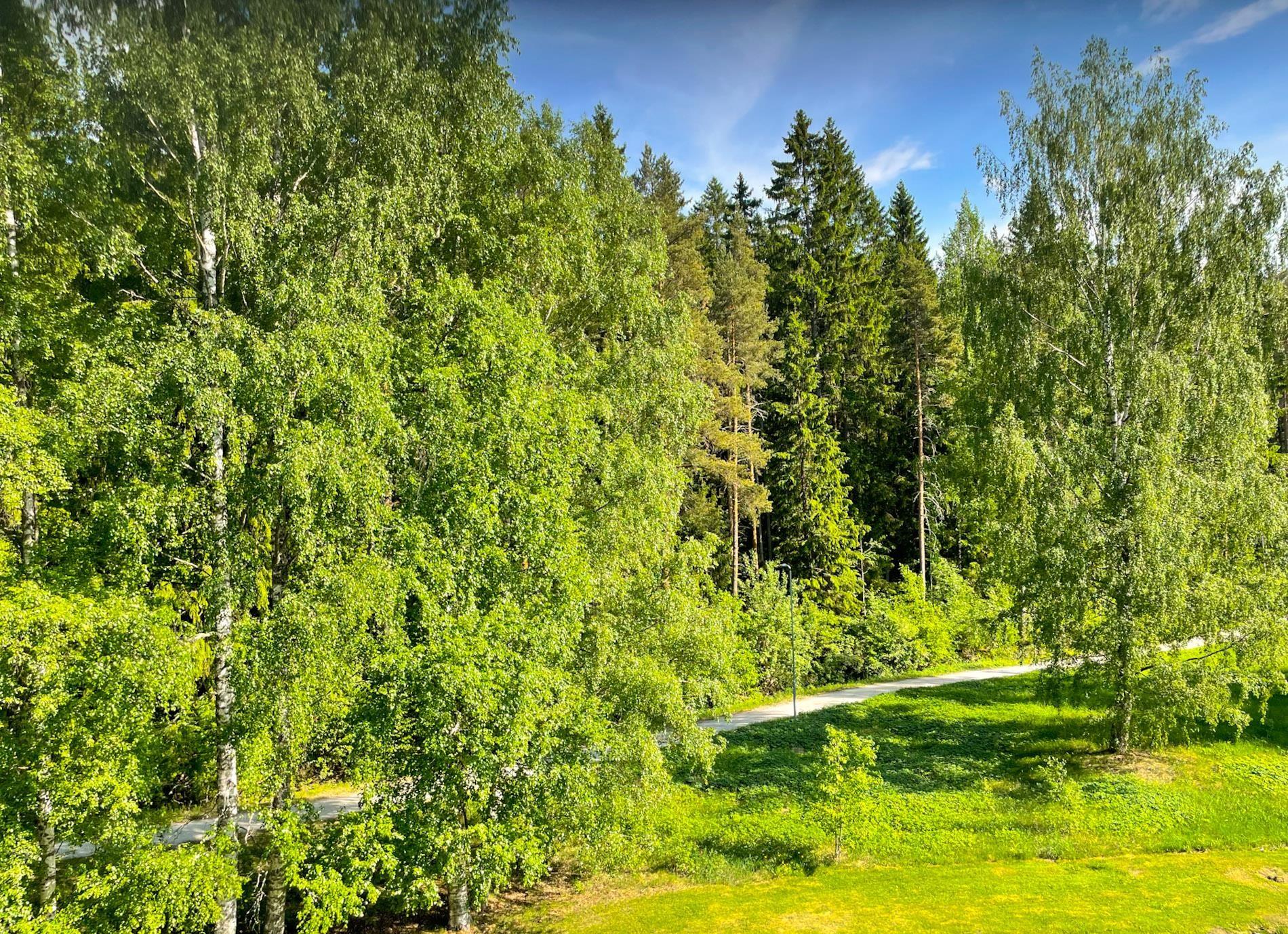 Kohdekuva 14