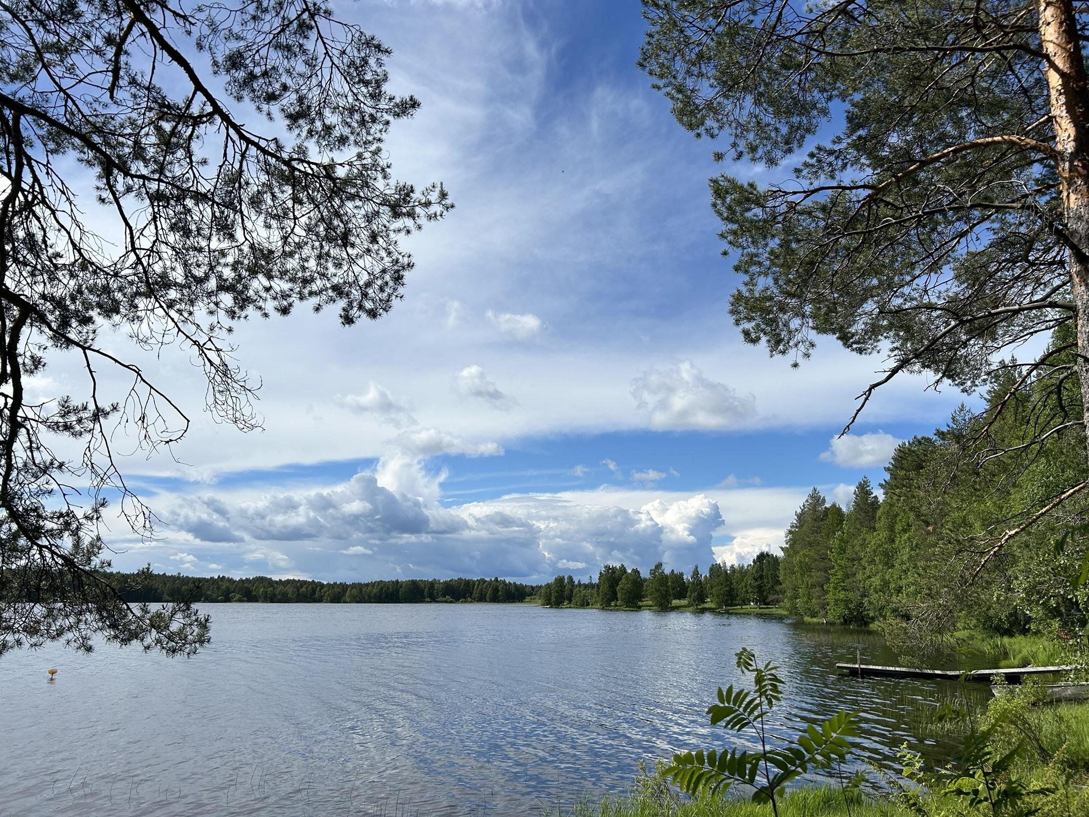 Kohdekuva 14