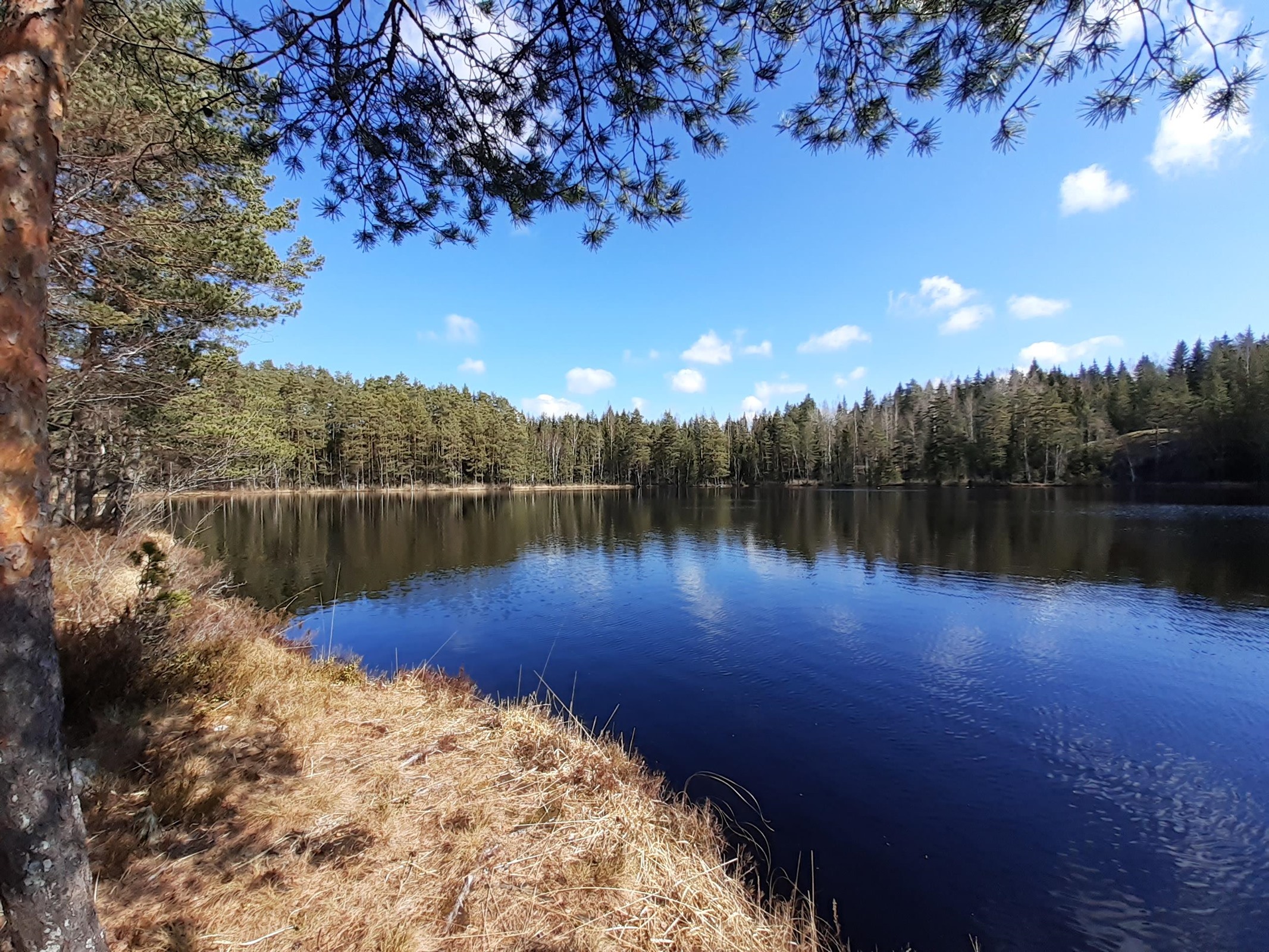 Kaisajärvi