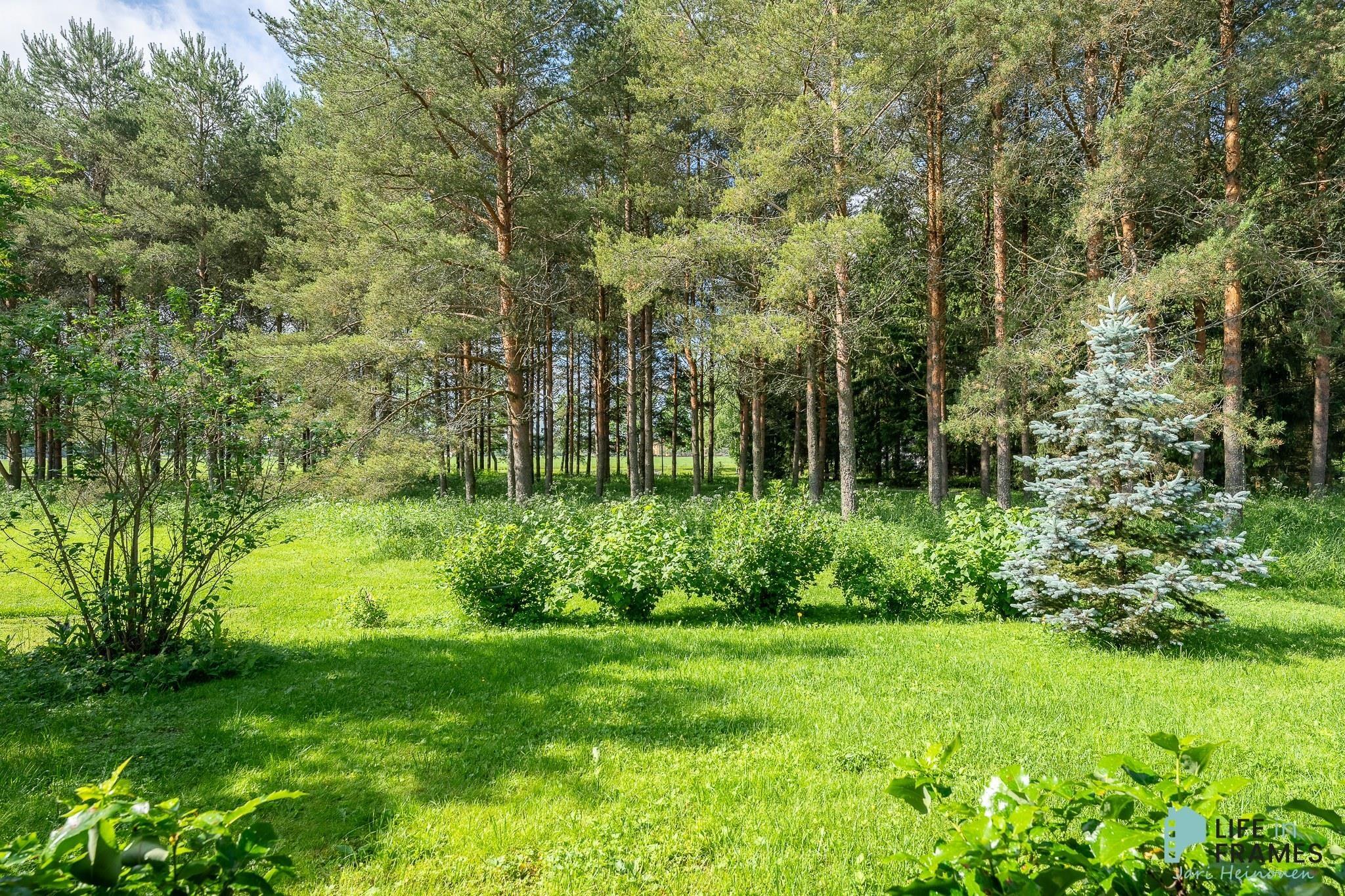 Kohdekuva 15