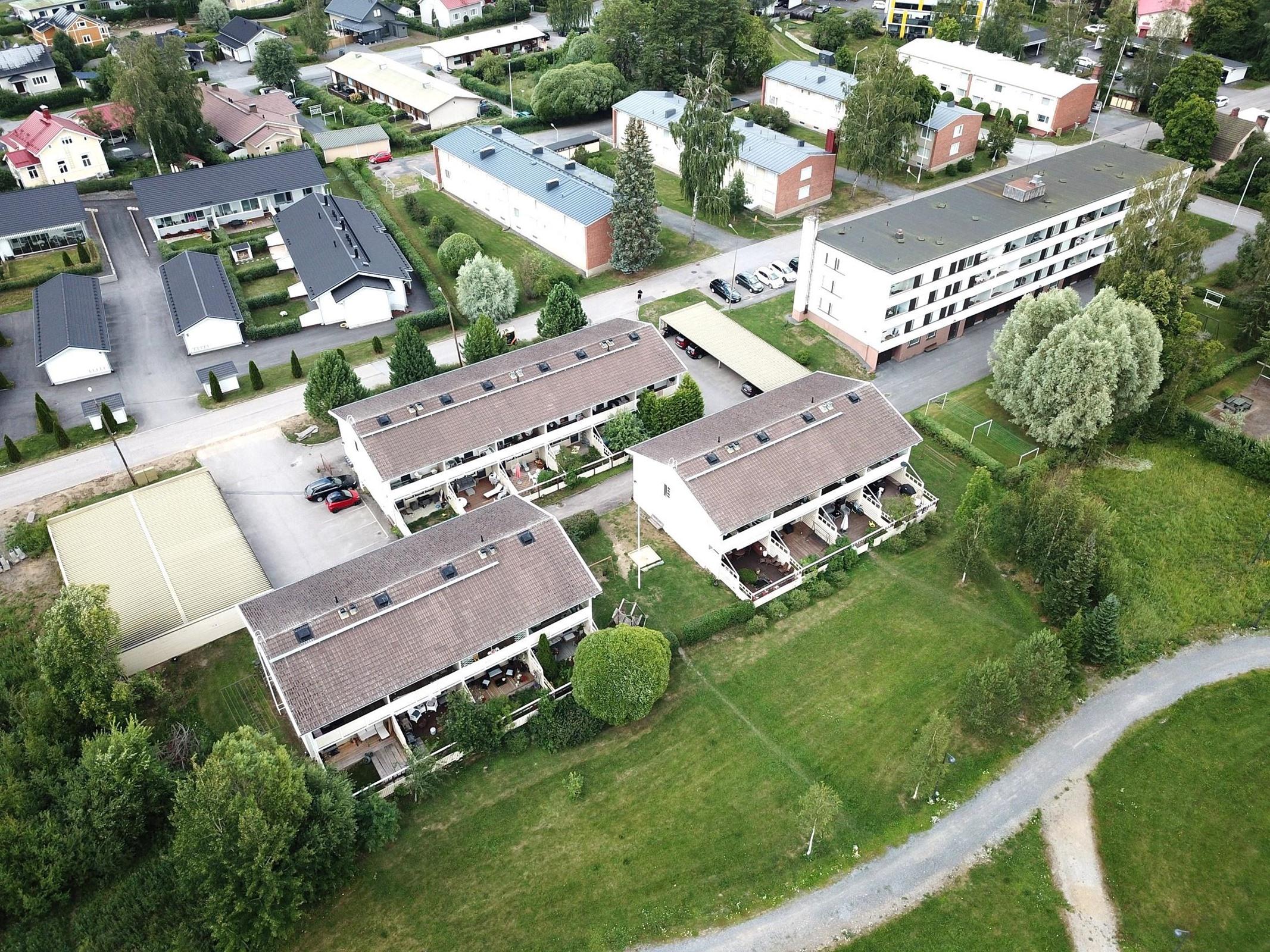 kesäinen kuva