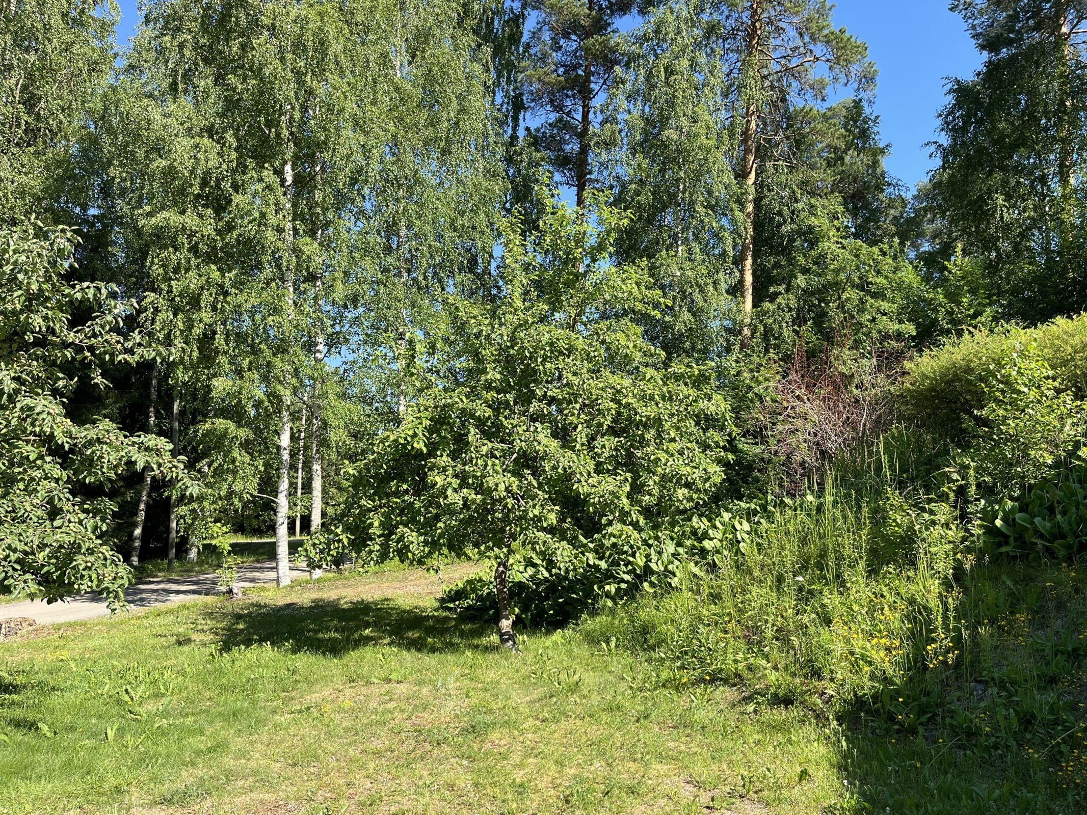 Kohdekuva 17