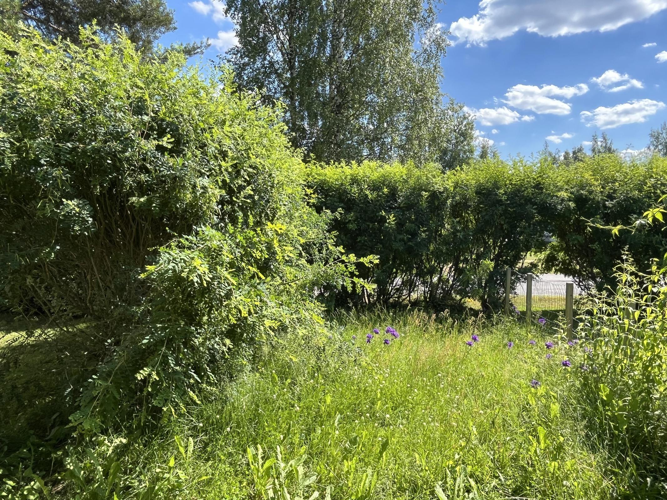 Kohdekuva 15
