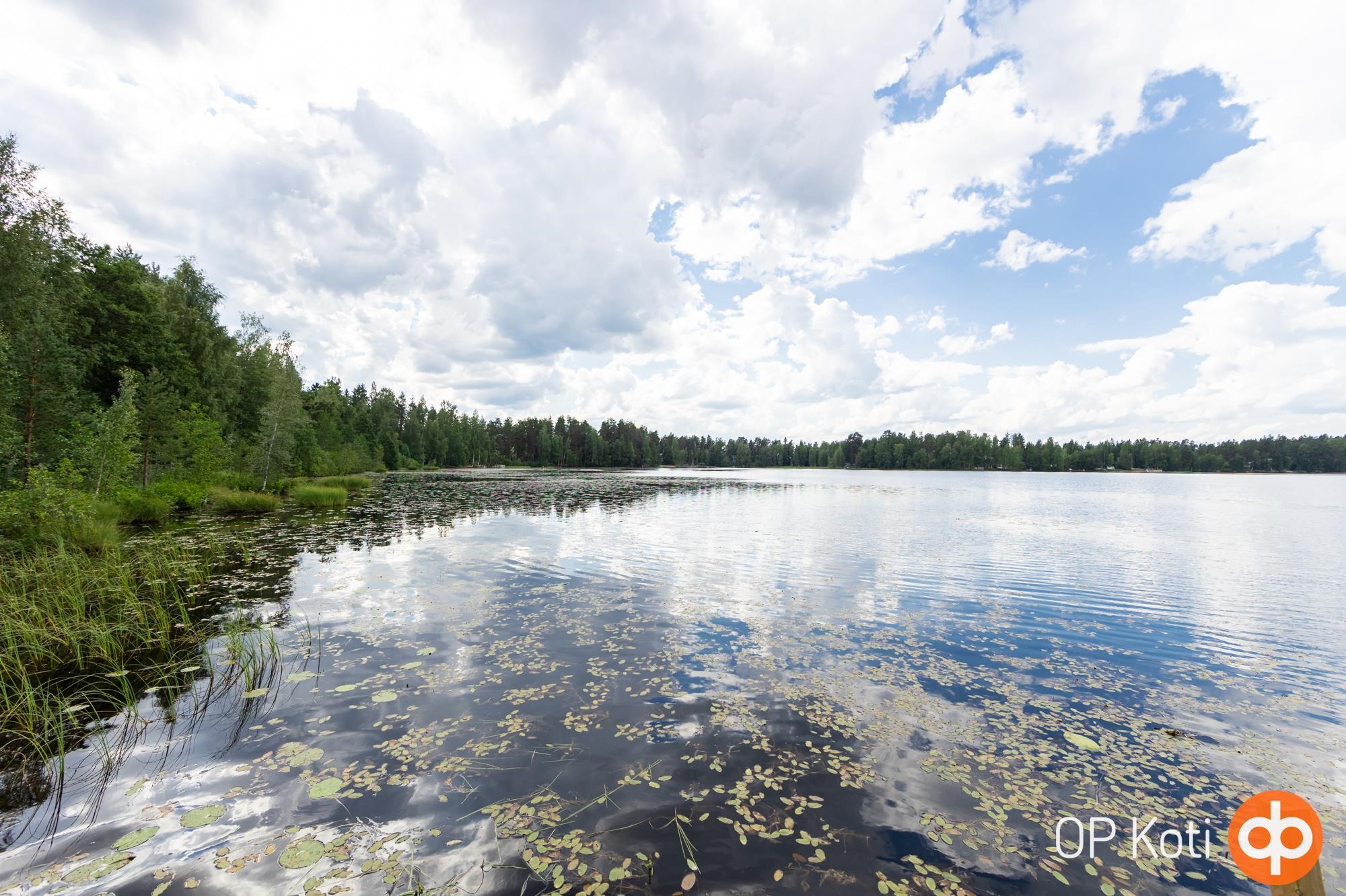 Kohdekuva 51