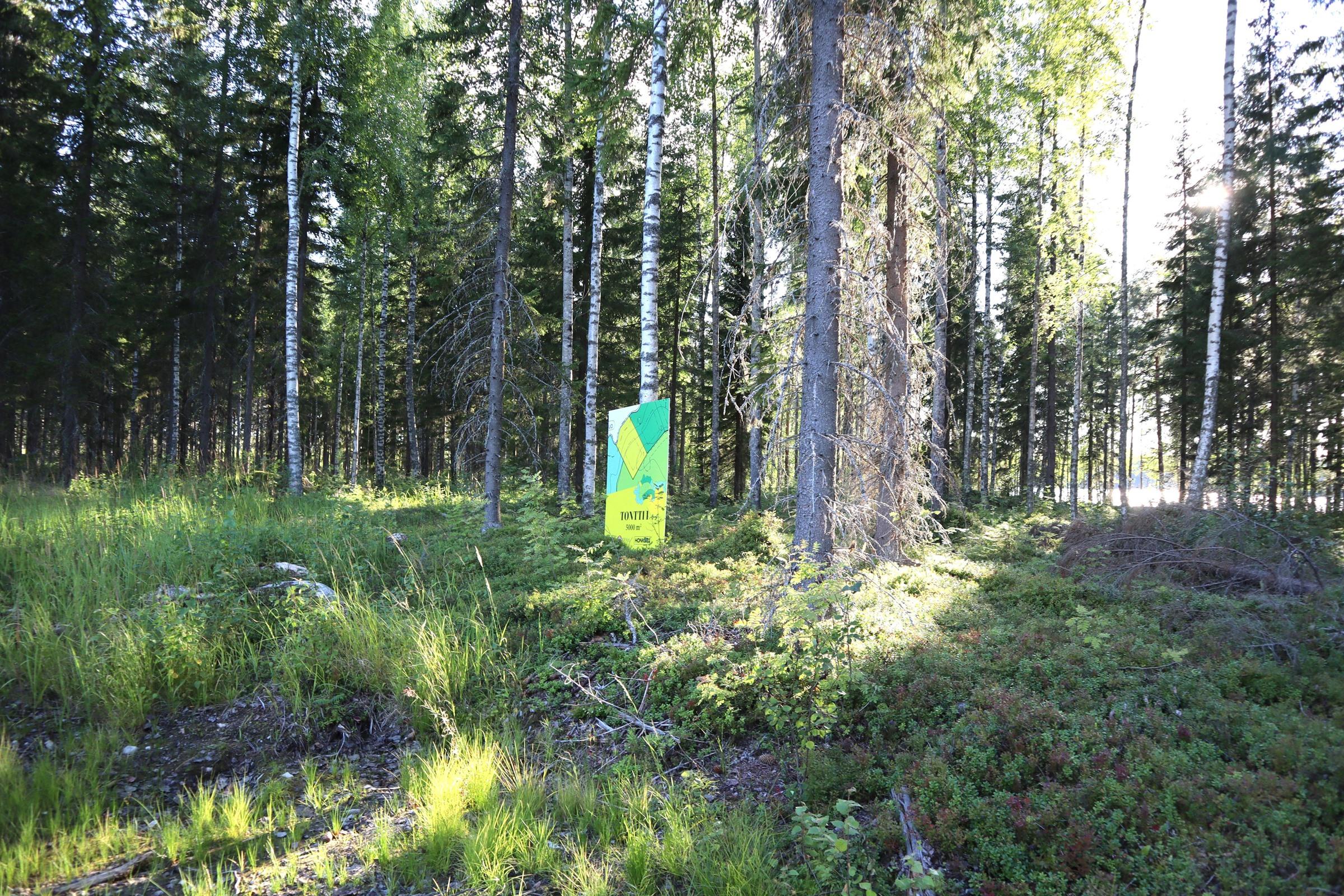 Kohdekuva 6
