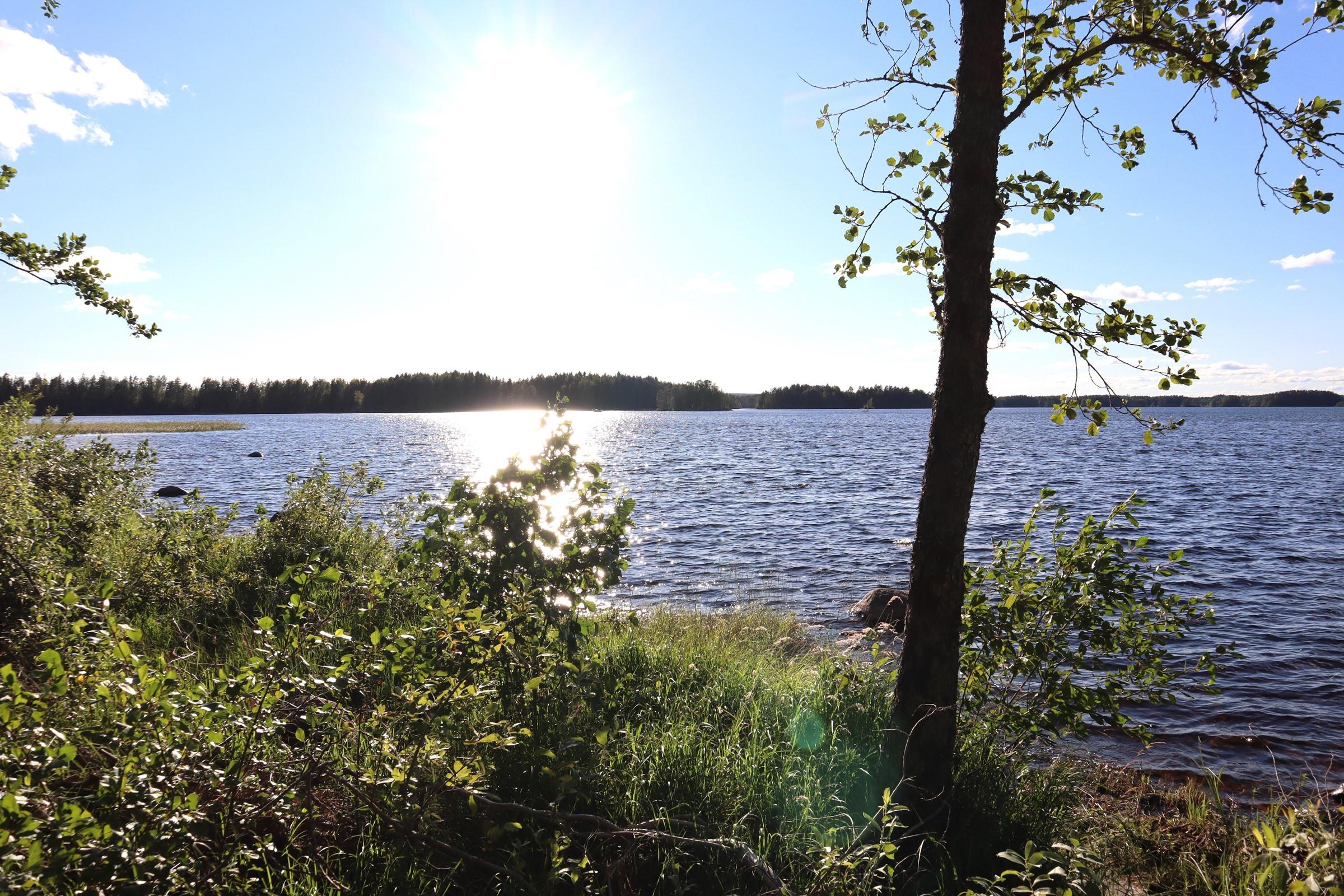 Kohdekuva 7