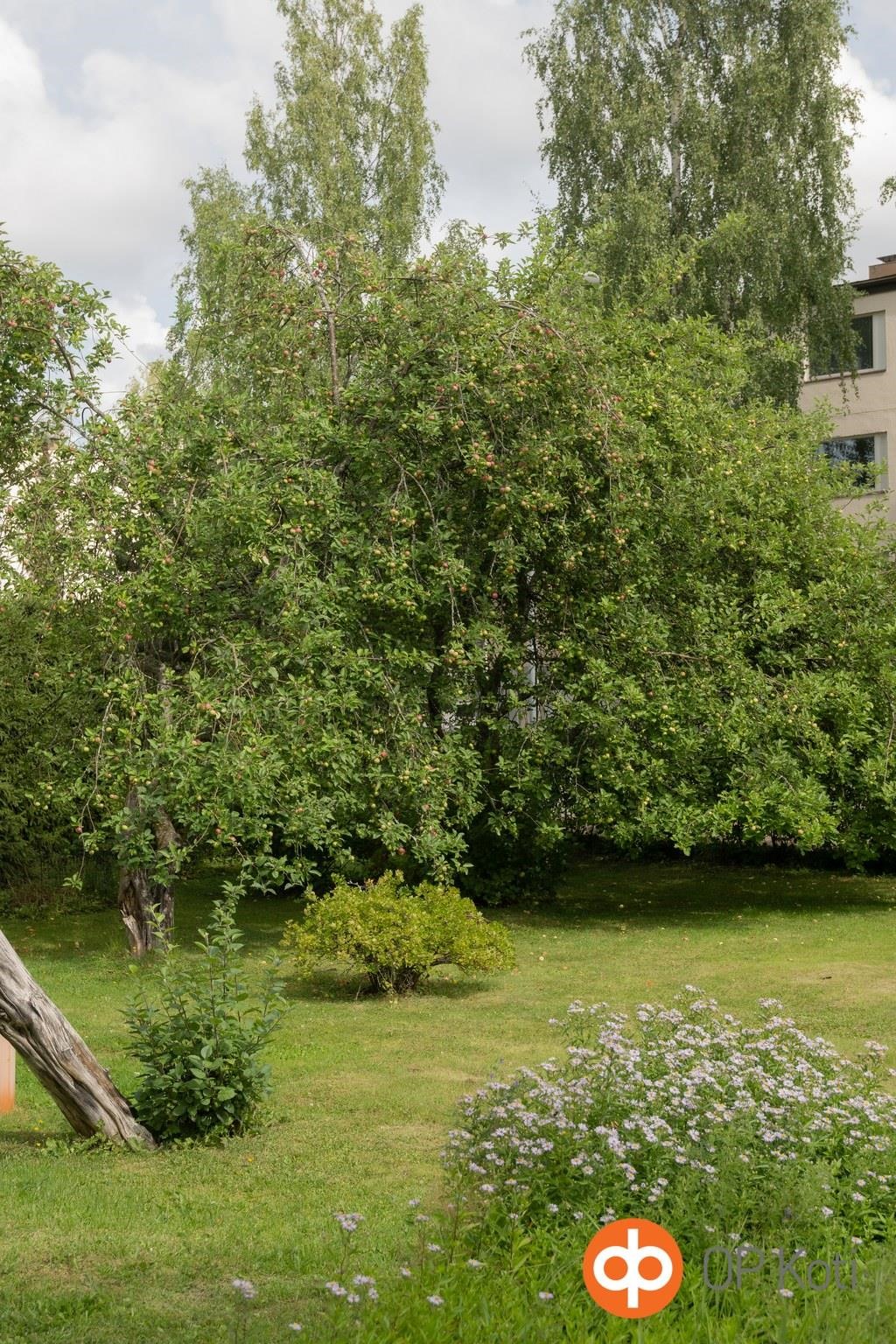 Kohdekuva 55
