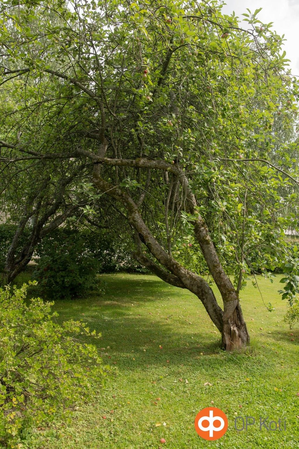 Kohdekuva 56