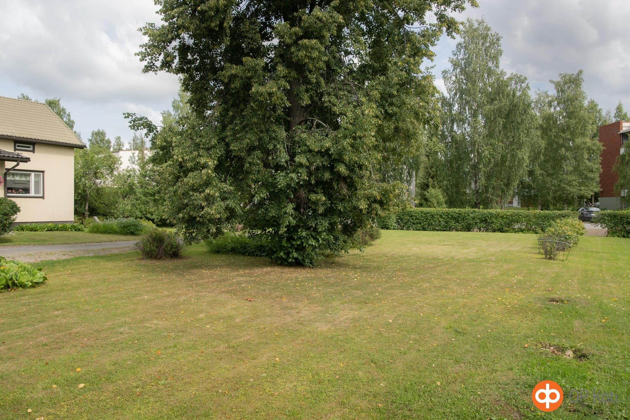 Kohdekuva 51