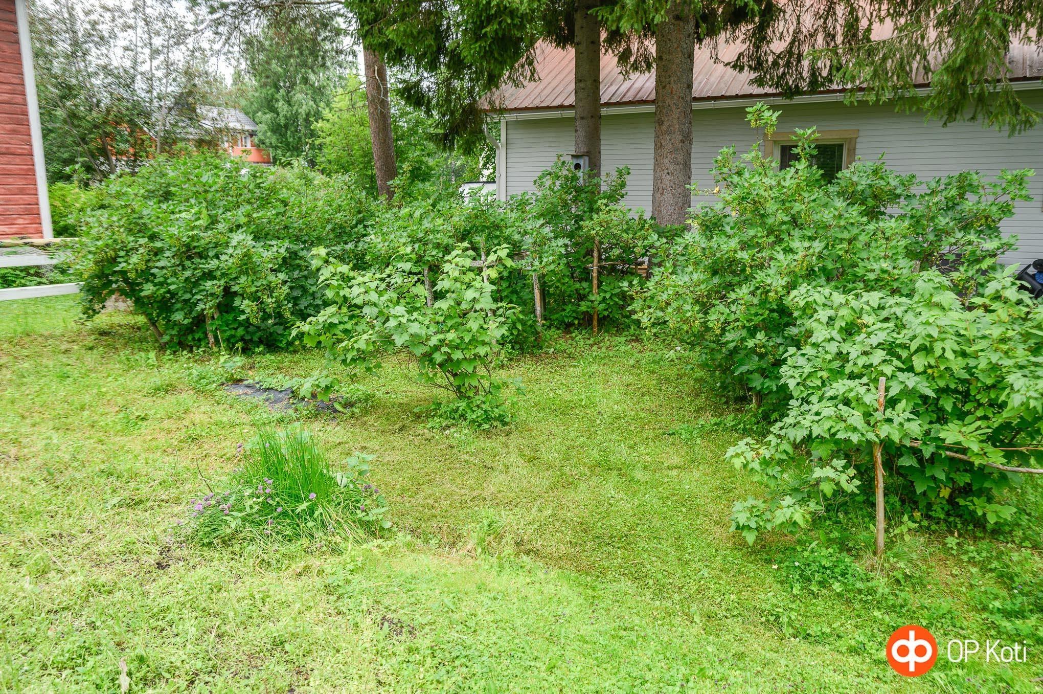 Kohdekuva 30