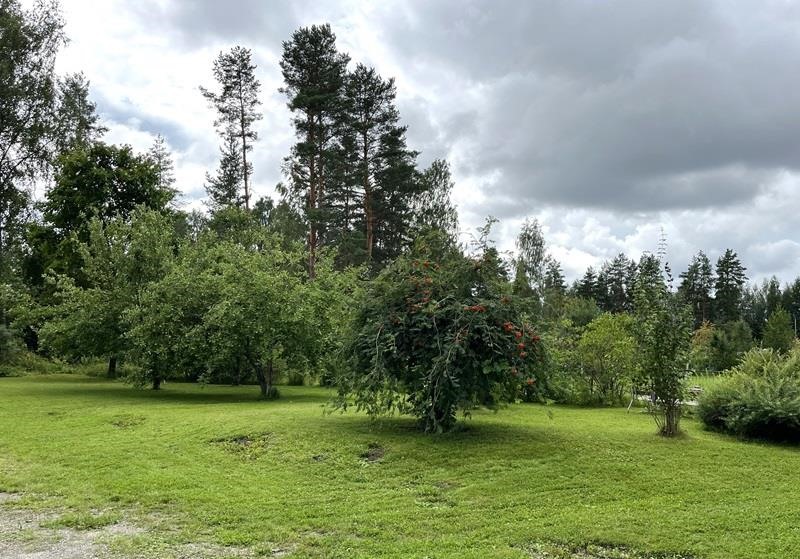 Kohdekuva 17