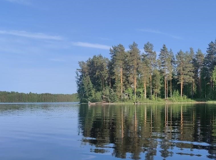 Kohdekuva 15