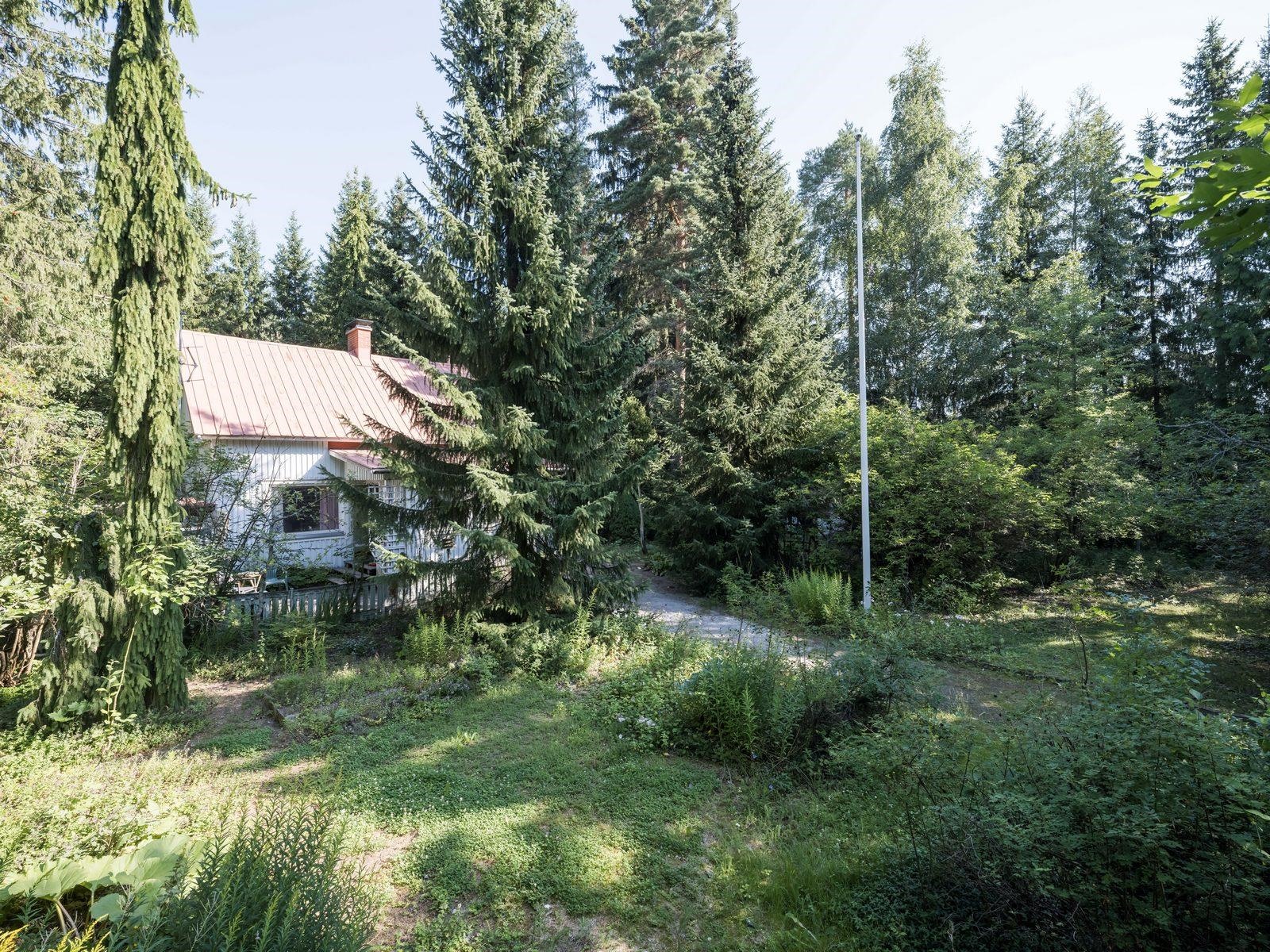 Kohdekuva 1