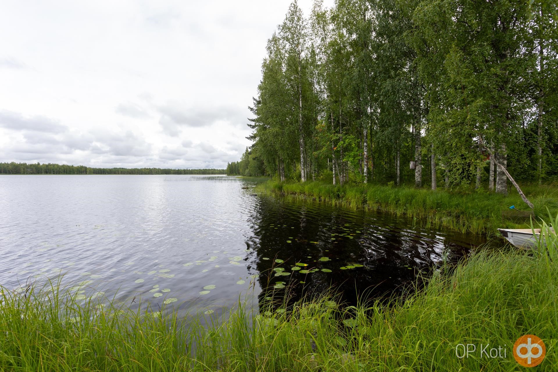 Kohdekuva 39