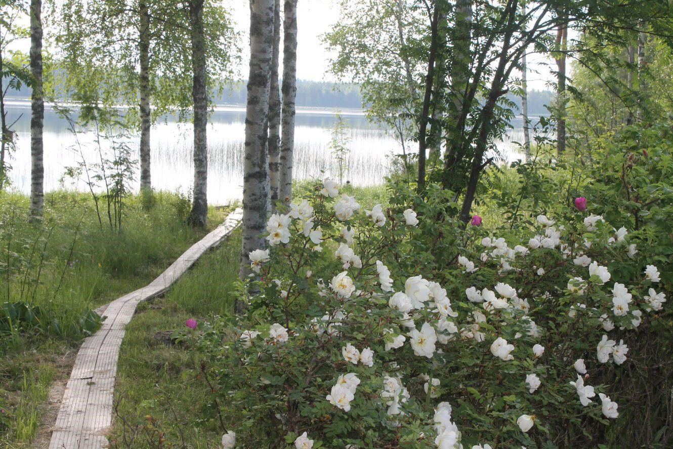 Kohdekuva 6