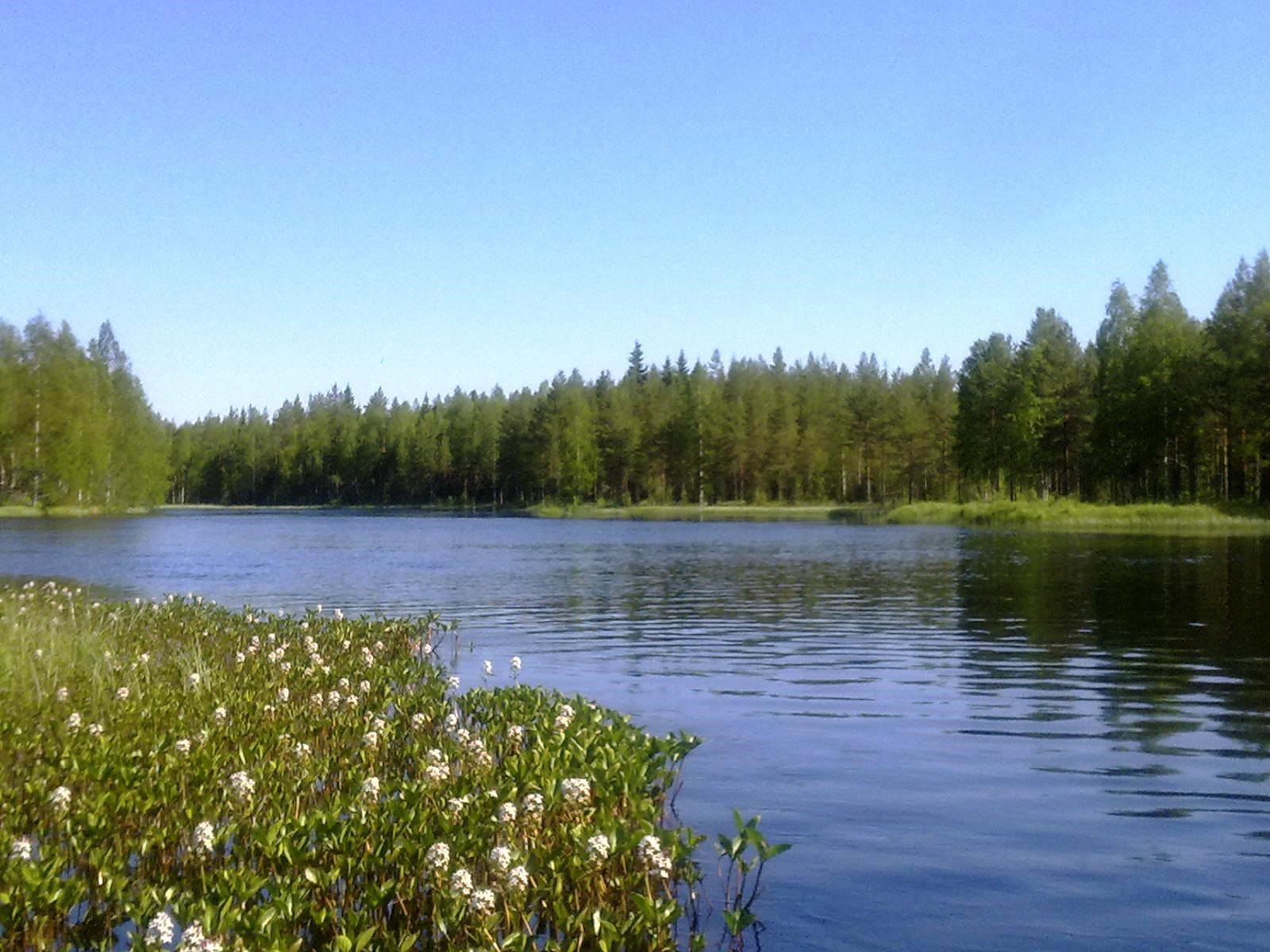 Kohdekuva 43