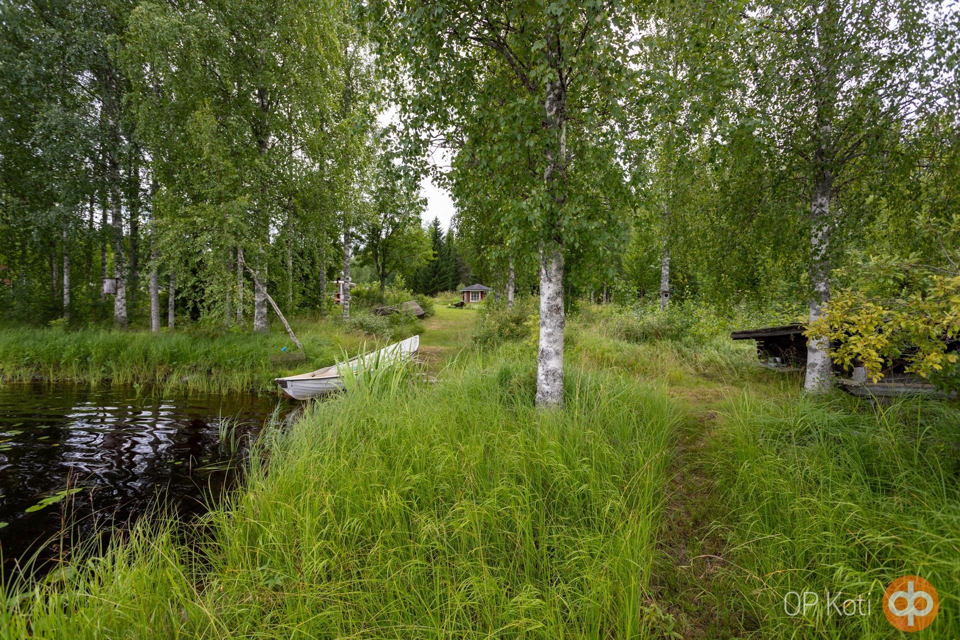 Kohdekuva 37