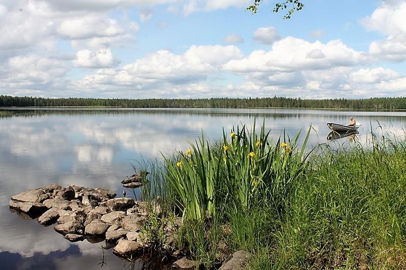 Kohdekuva 3