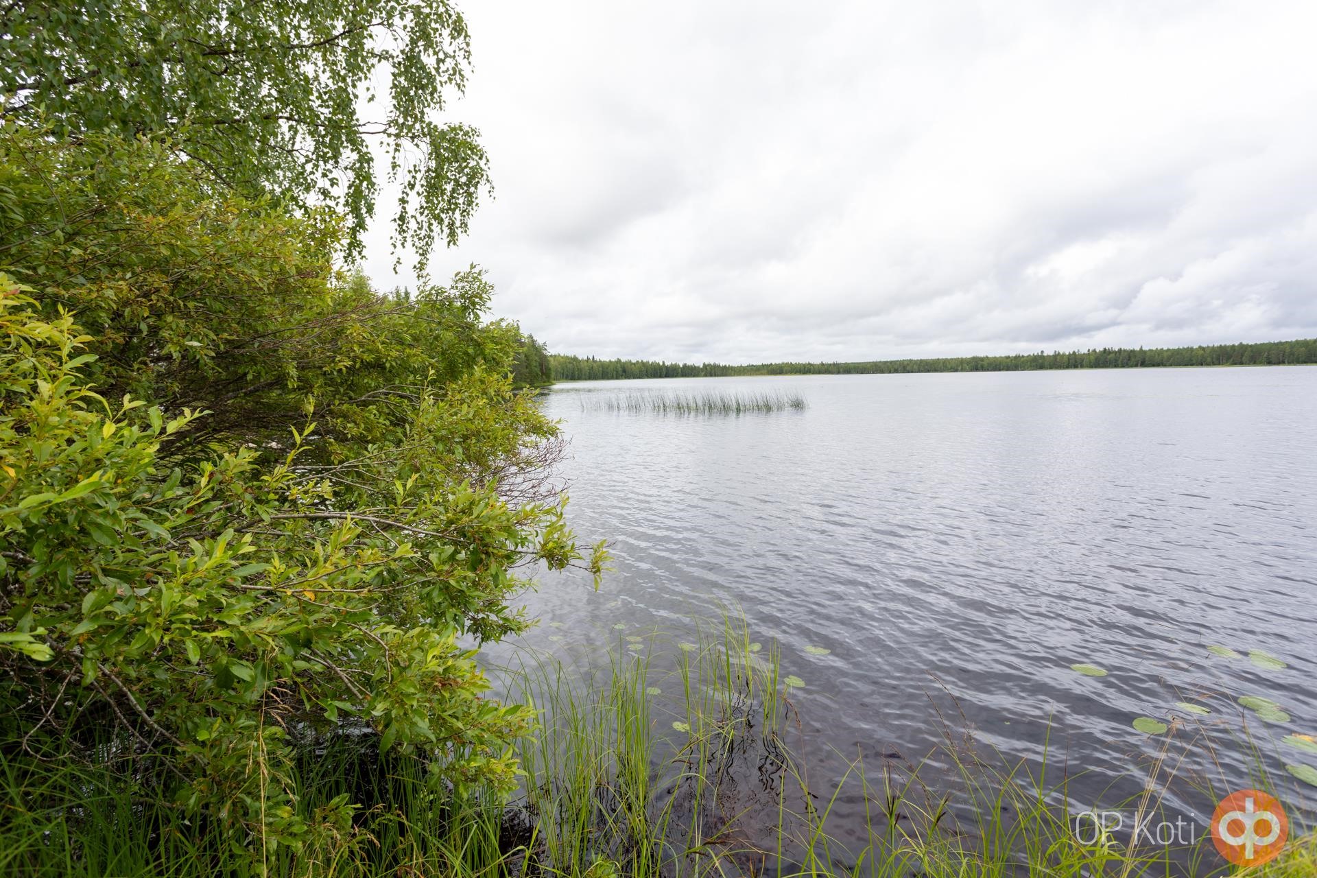 Kohdekuva 40