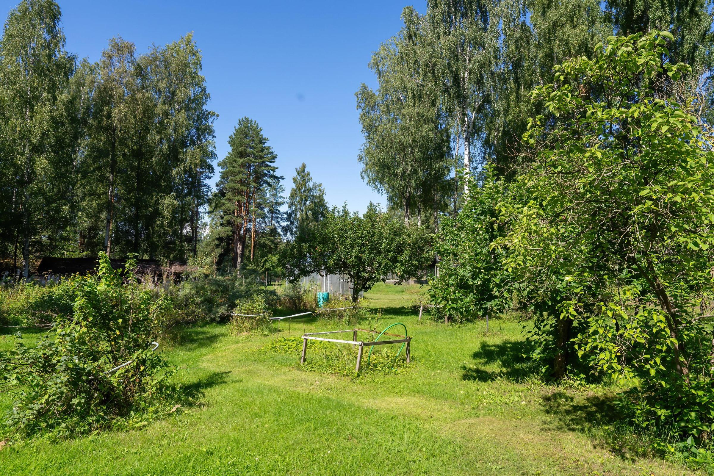 Kohdekuva 17
