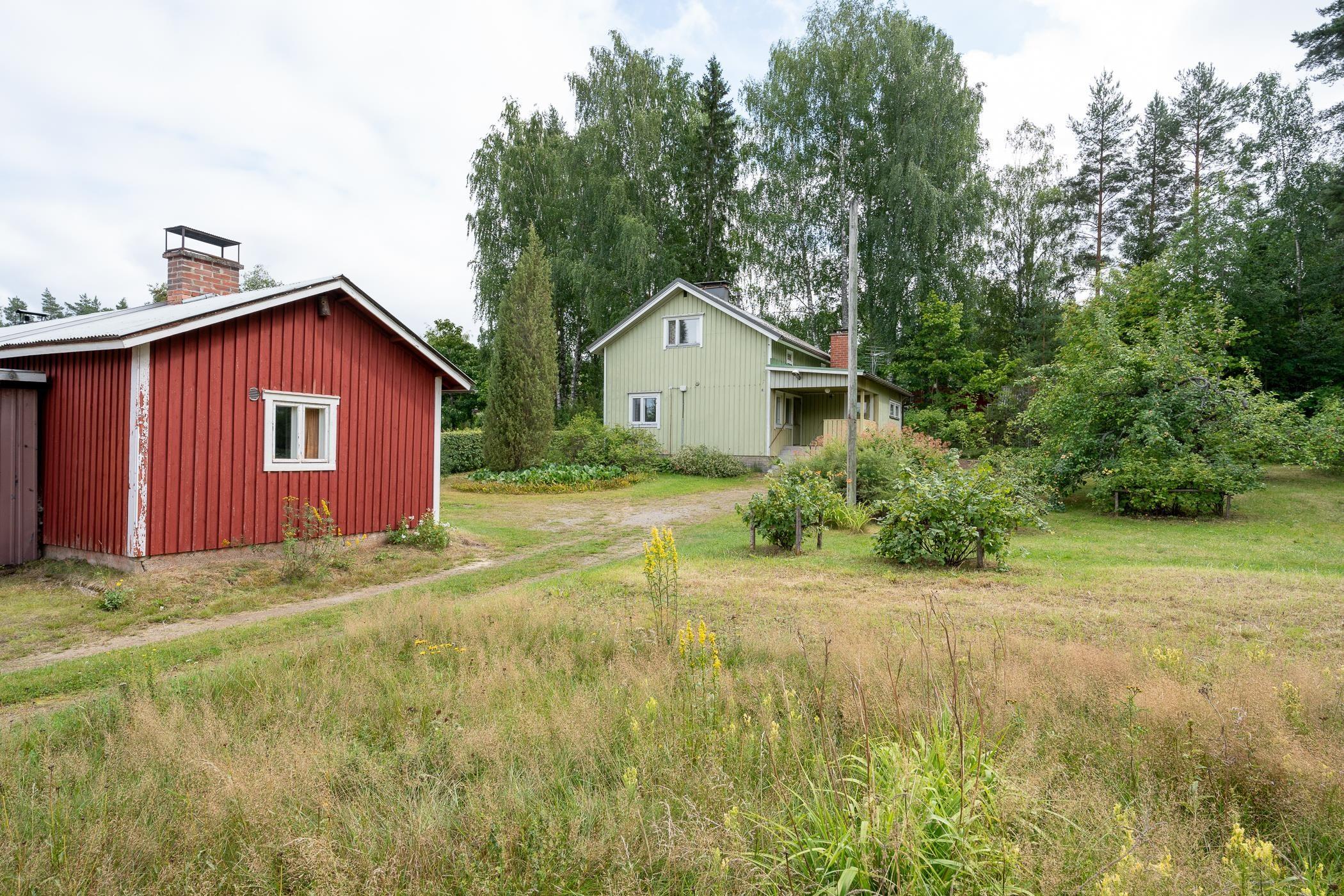 kuvaa loppukesästä