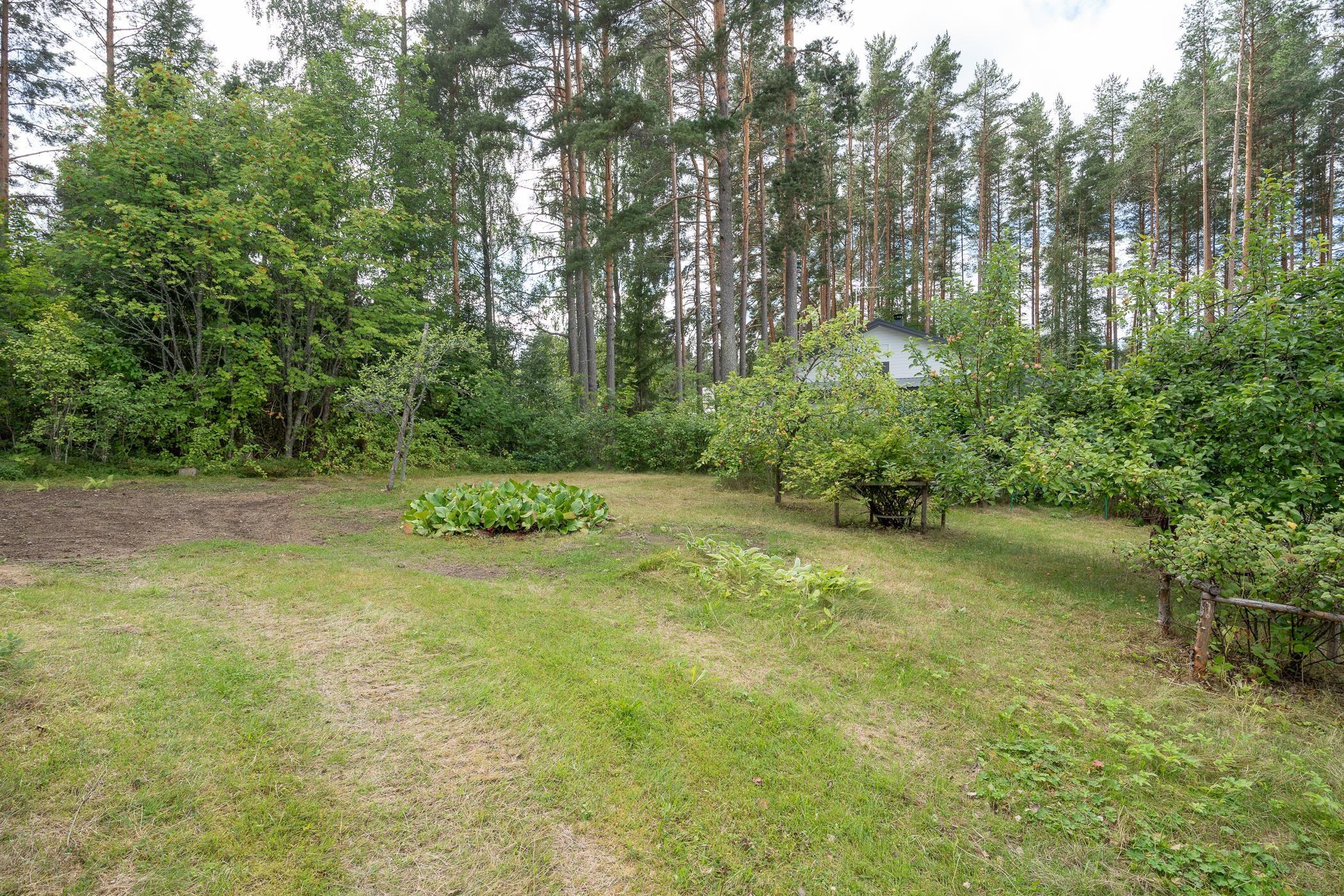 kuvaa loppukesästä