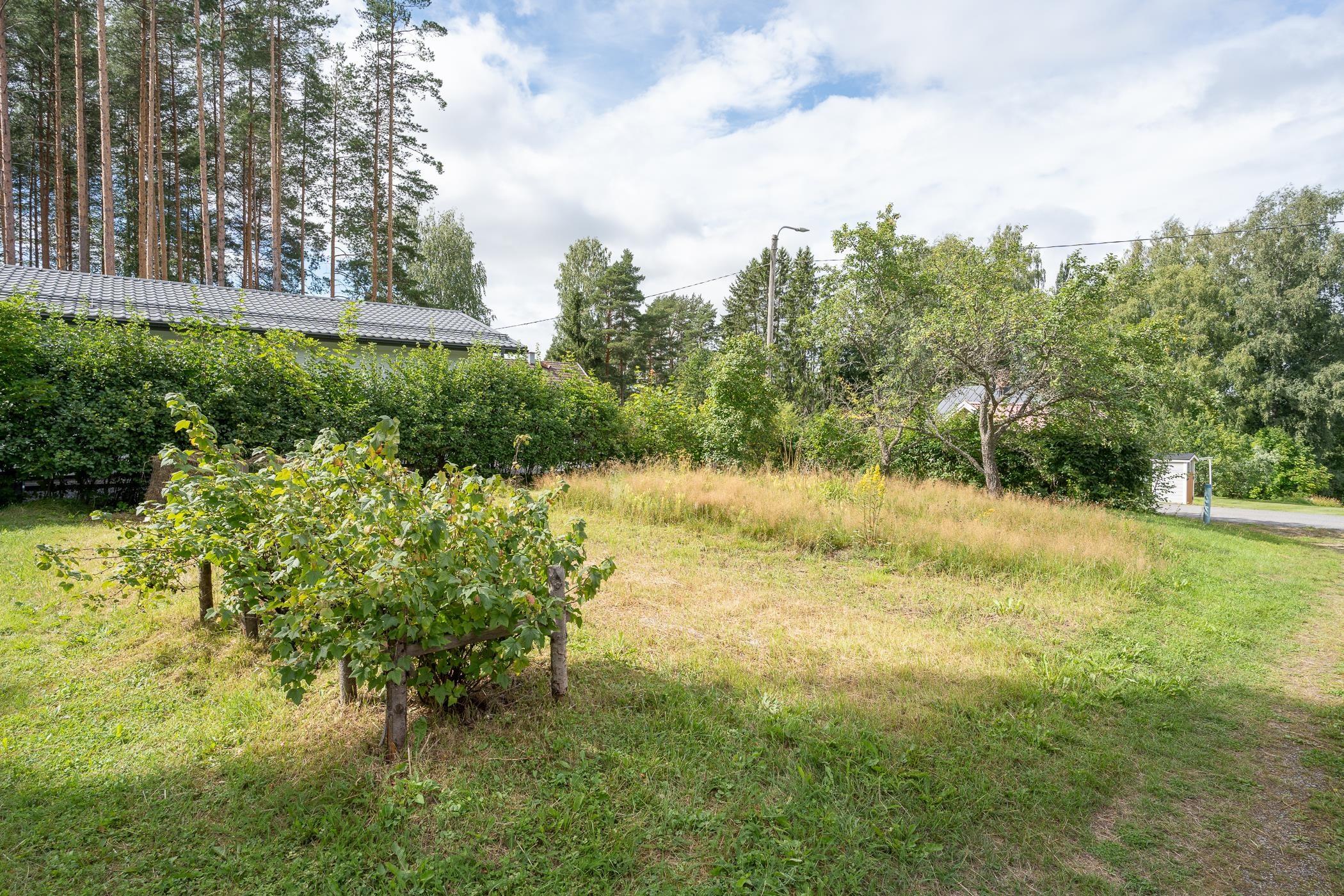 kuvaa loppukesästä