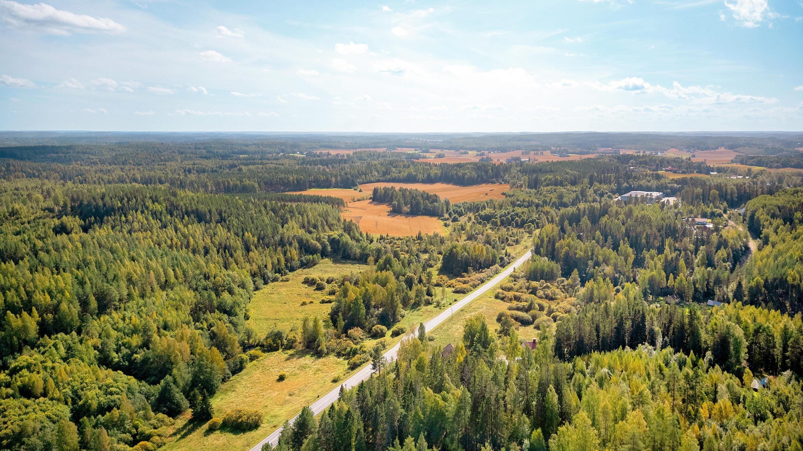 Kohdekuva 12