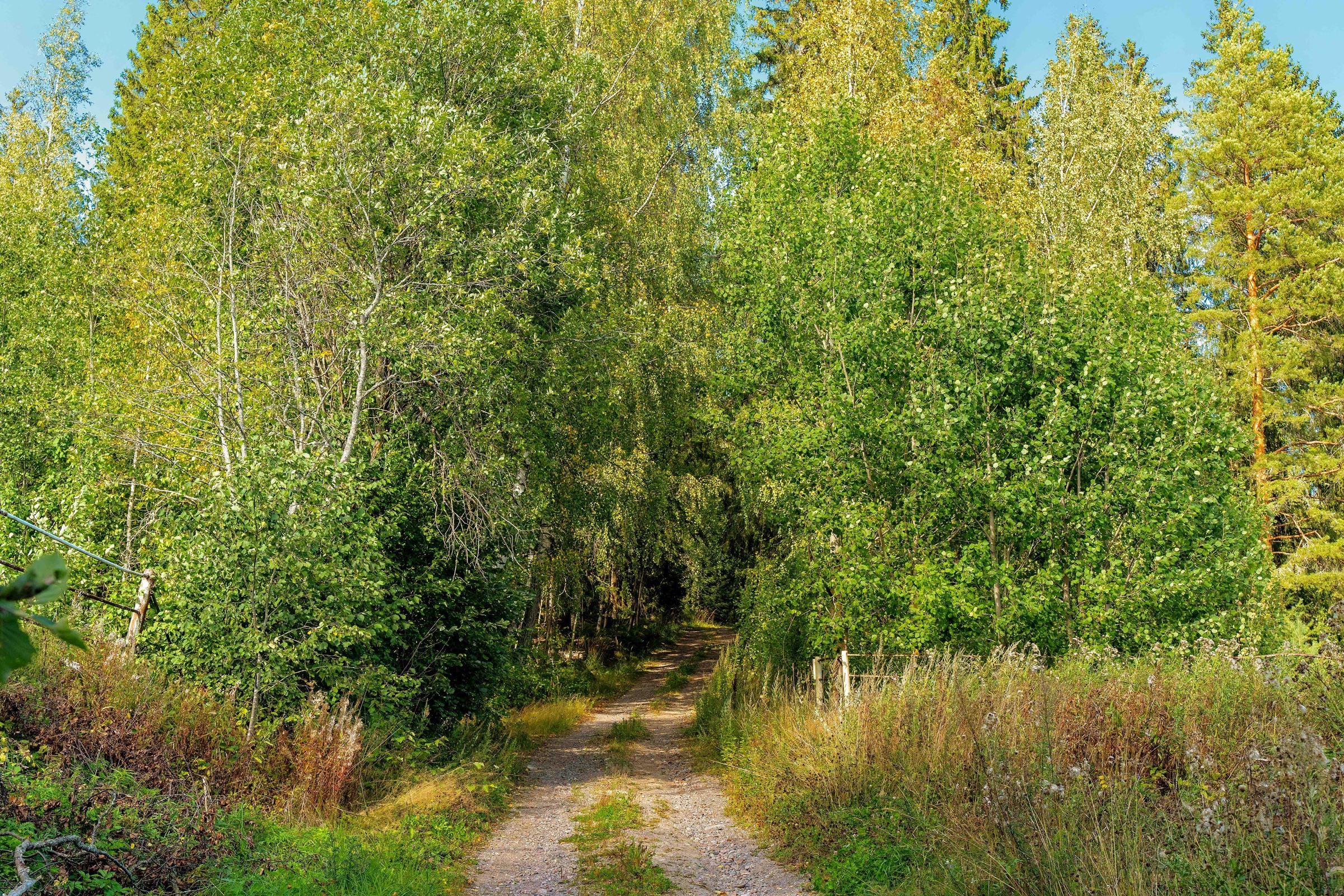 Kohdekuva 6