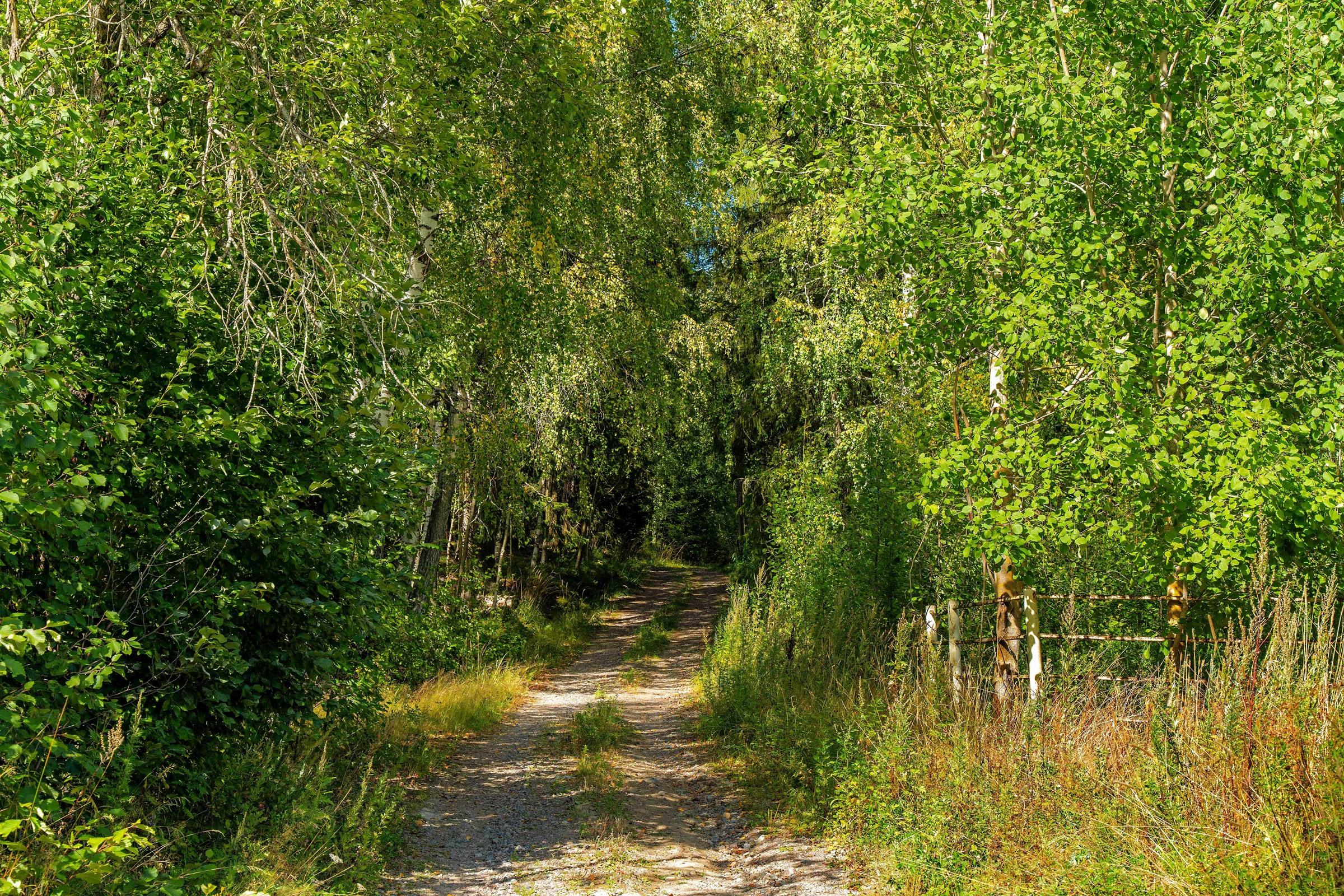 Kohdekuva 14
