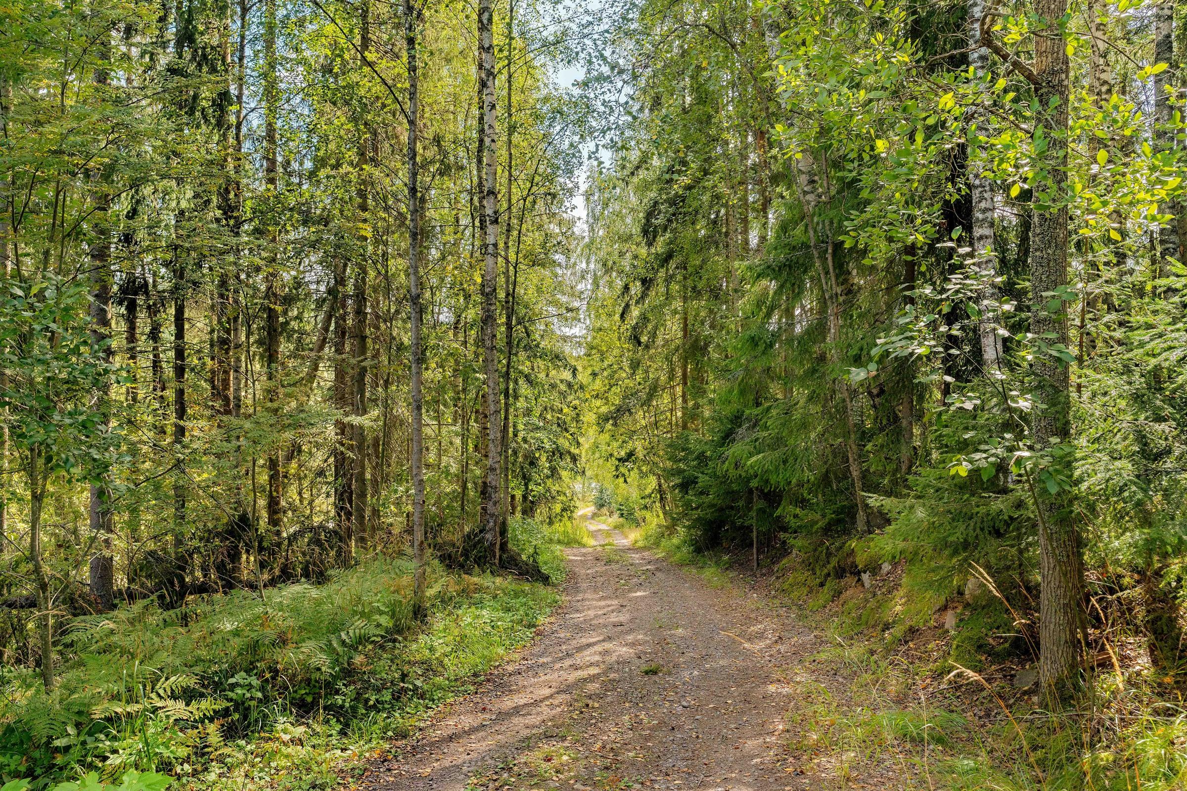 Kohdekuva 10