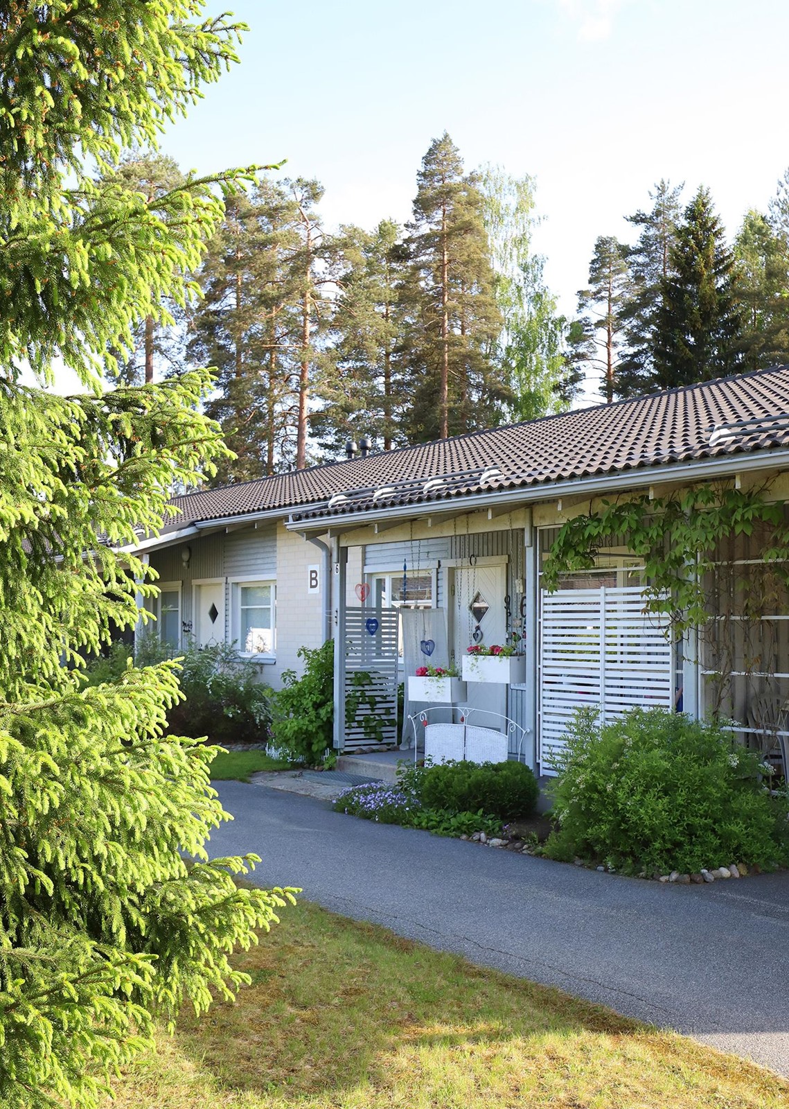 Kohdekuva 24