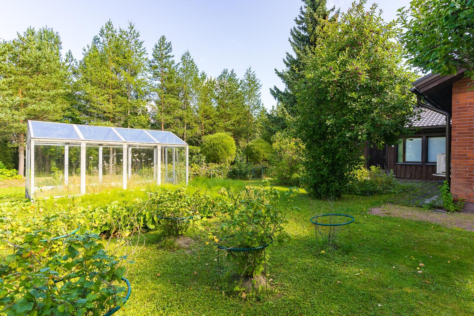 Kohdekuva 18