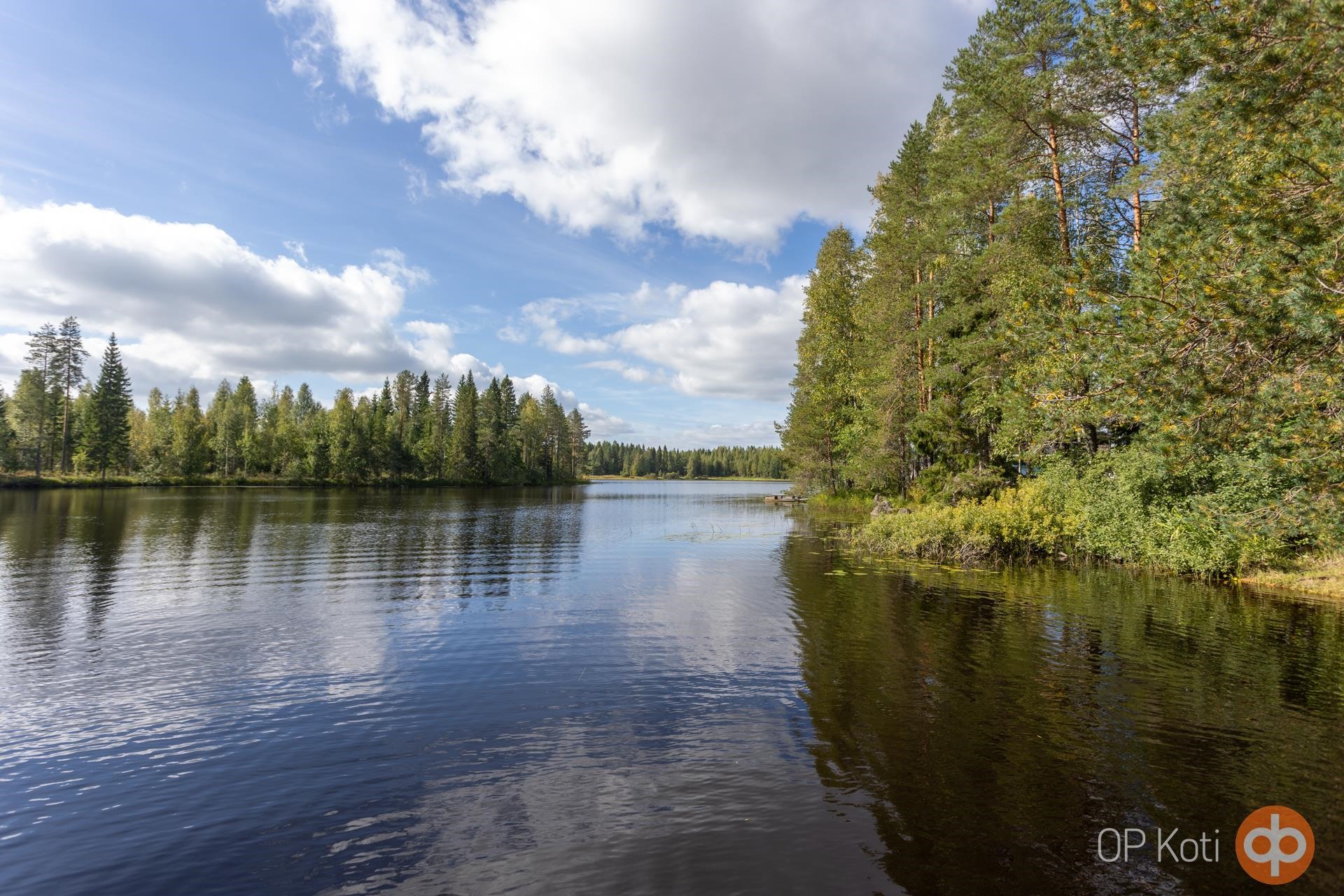 Kohdekuva 24